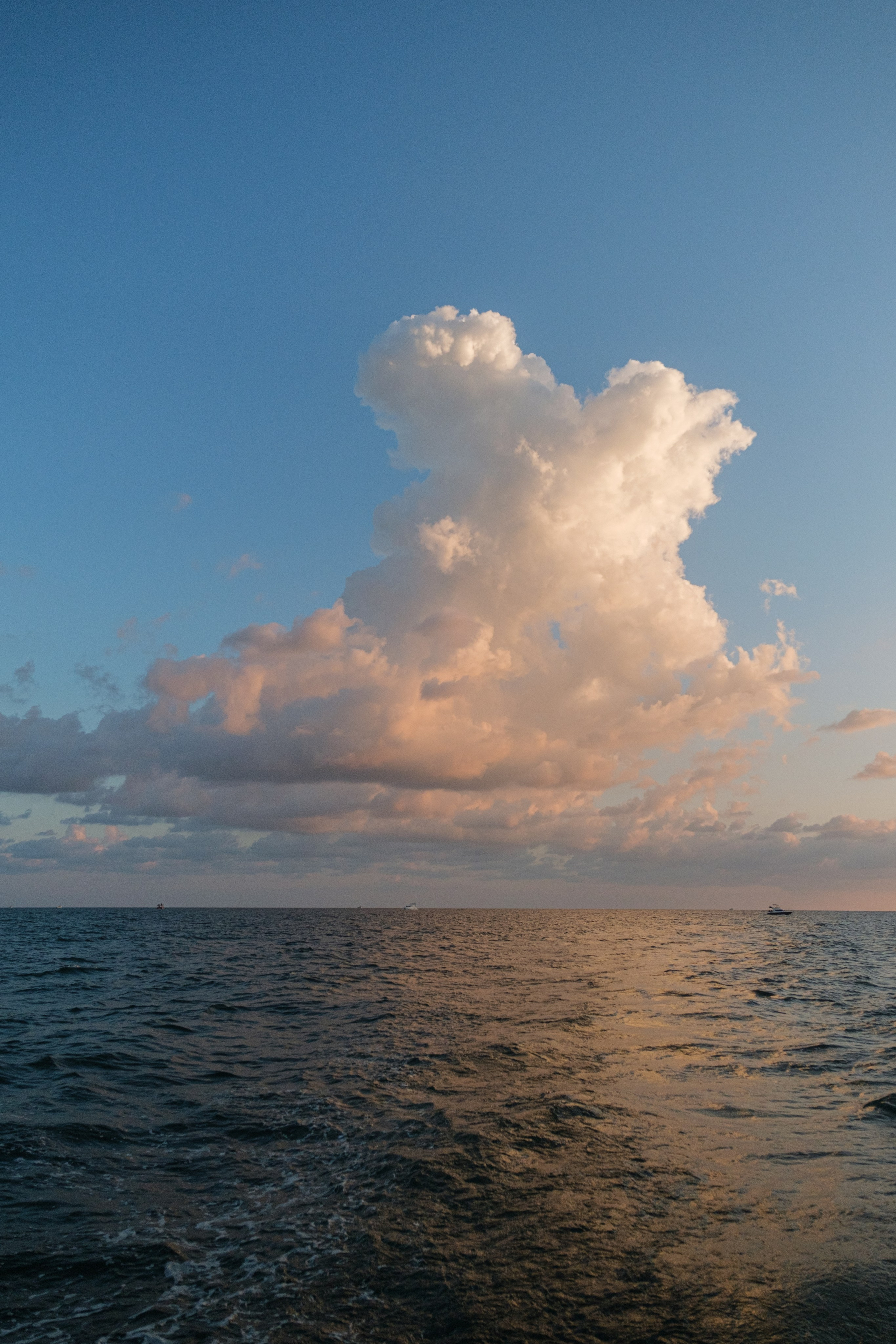 Ариадна. Свадебный Видеограф Фотограф в Сочи