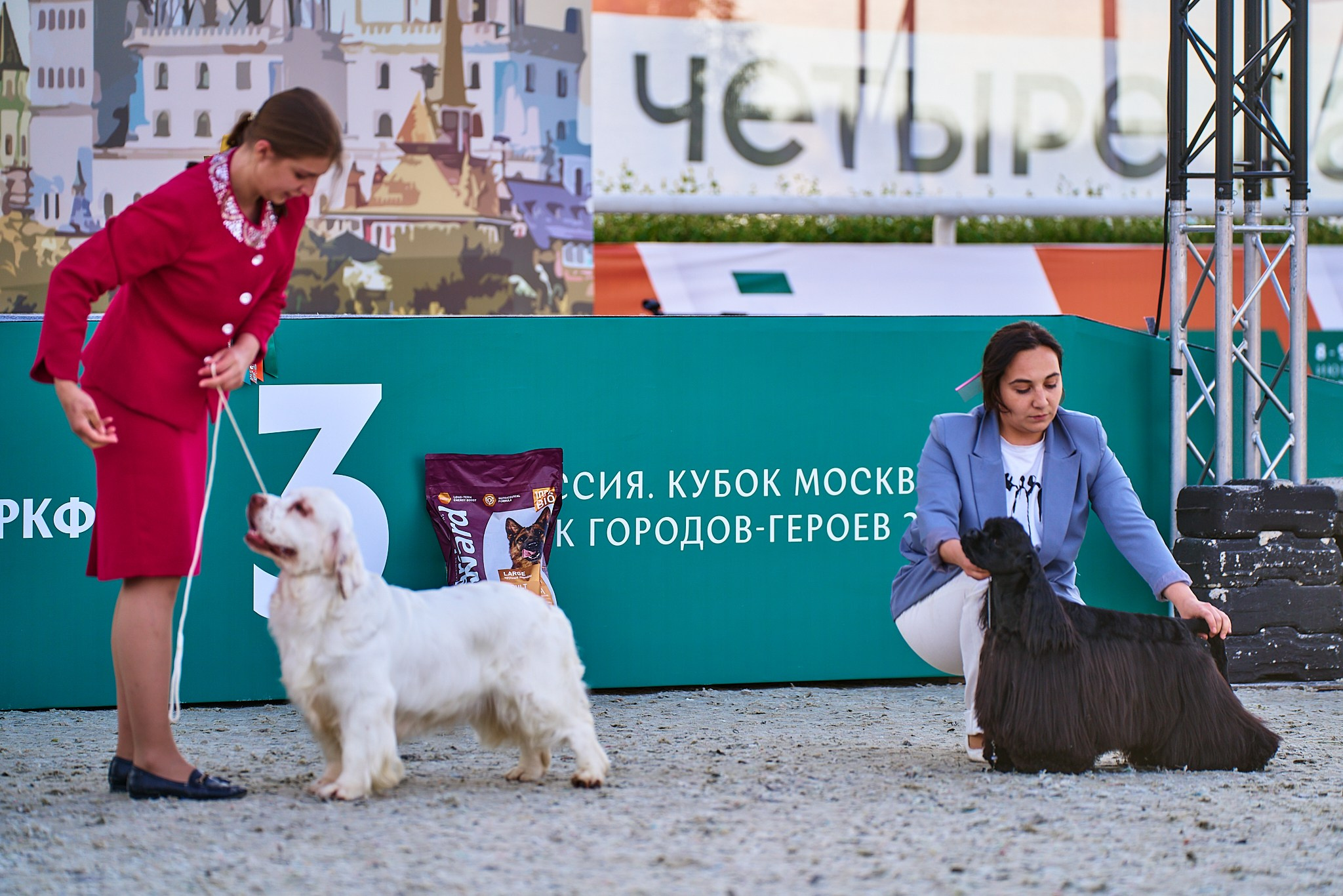 08.06.2024 «РОССИЯ. КУБОК РКФ 2024»