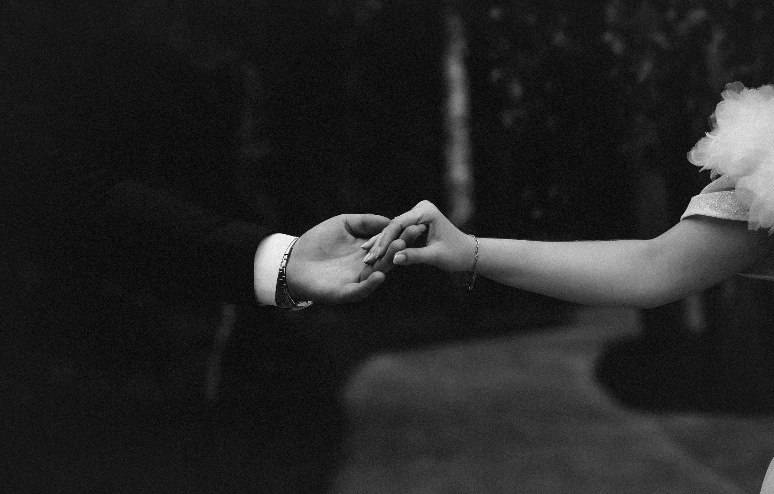 Анна & Артем 2025. Фотосъемка и видеосъемка свадеб Липецк