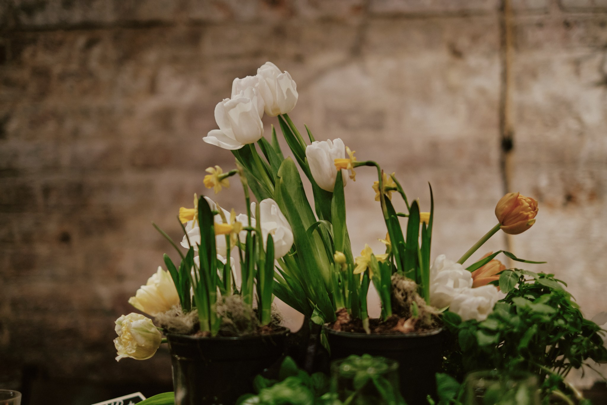 Dance.Party.Spring. Фотограф Аннё| Москва