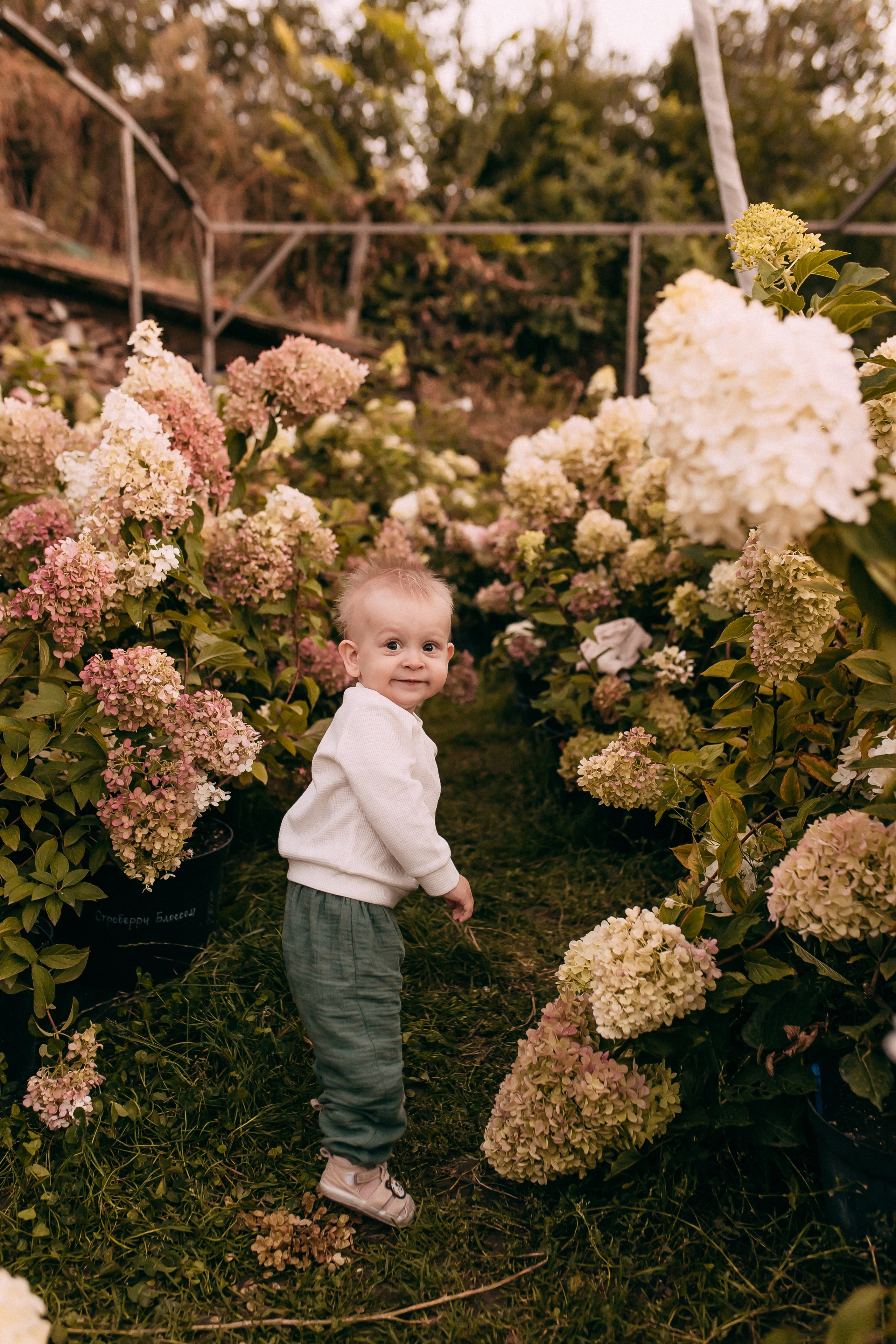 Семейные истории. Свадебный и семейный фотограф в Алматы Laura Dosmann