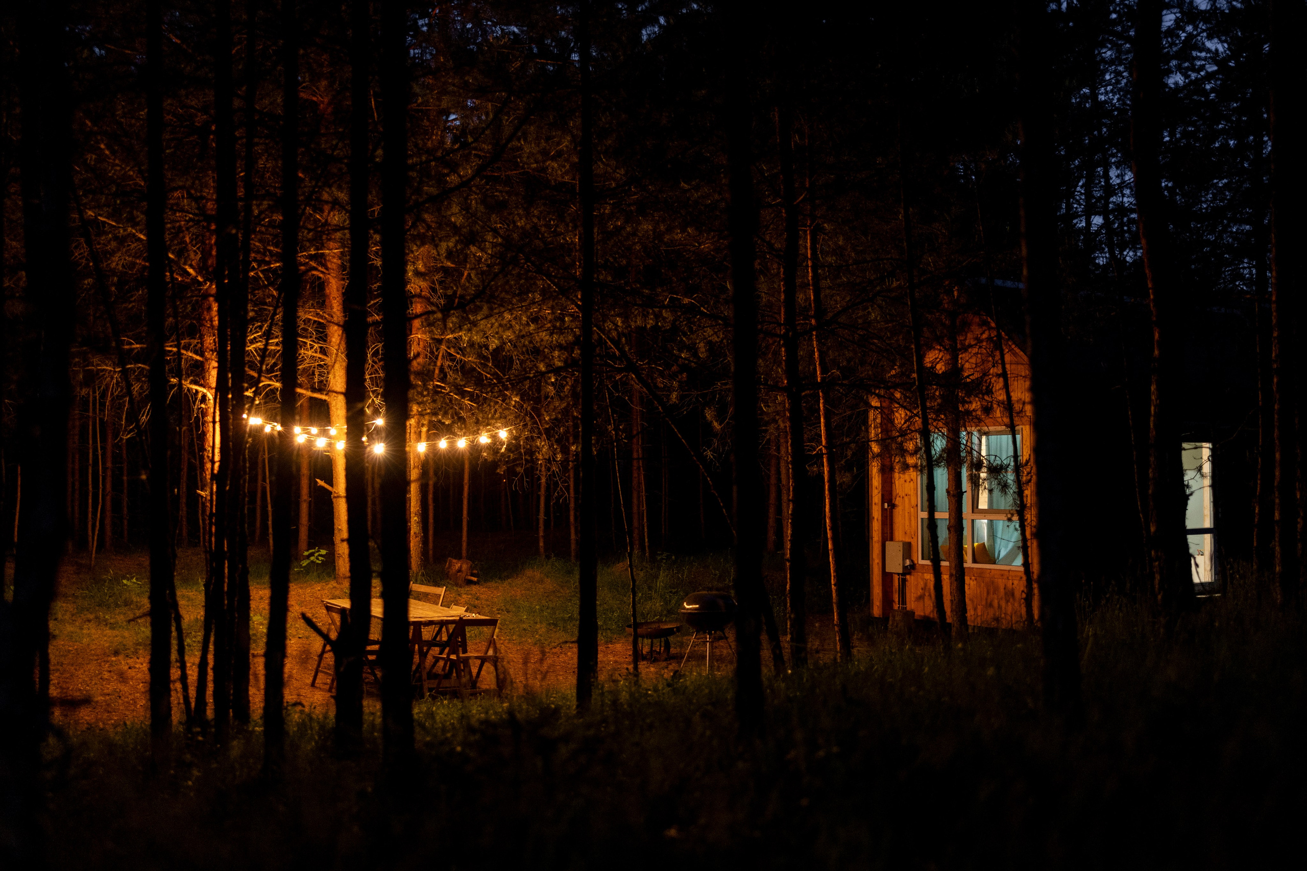 Съемка с собакой. Анастасия Белаш