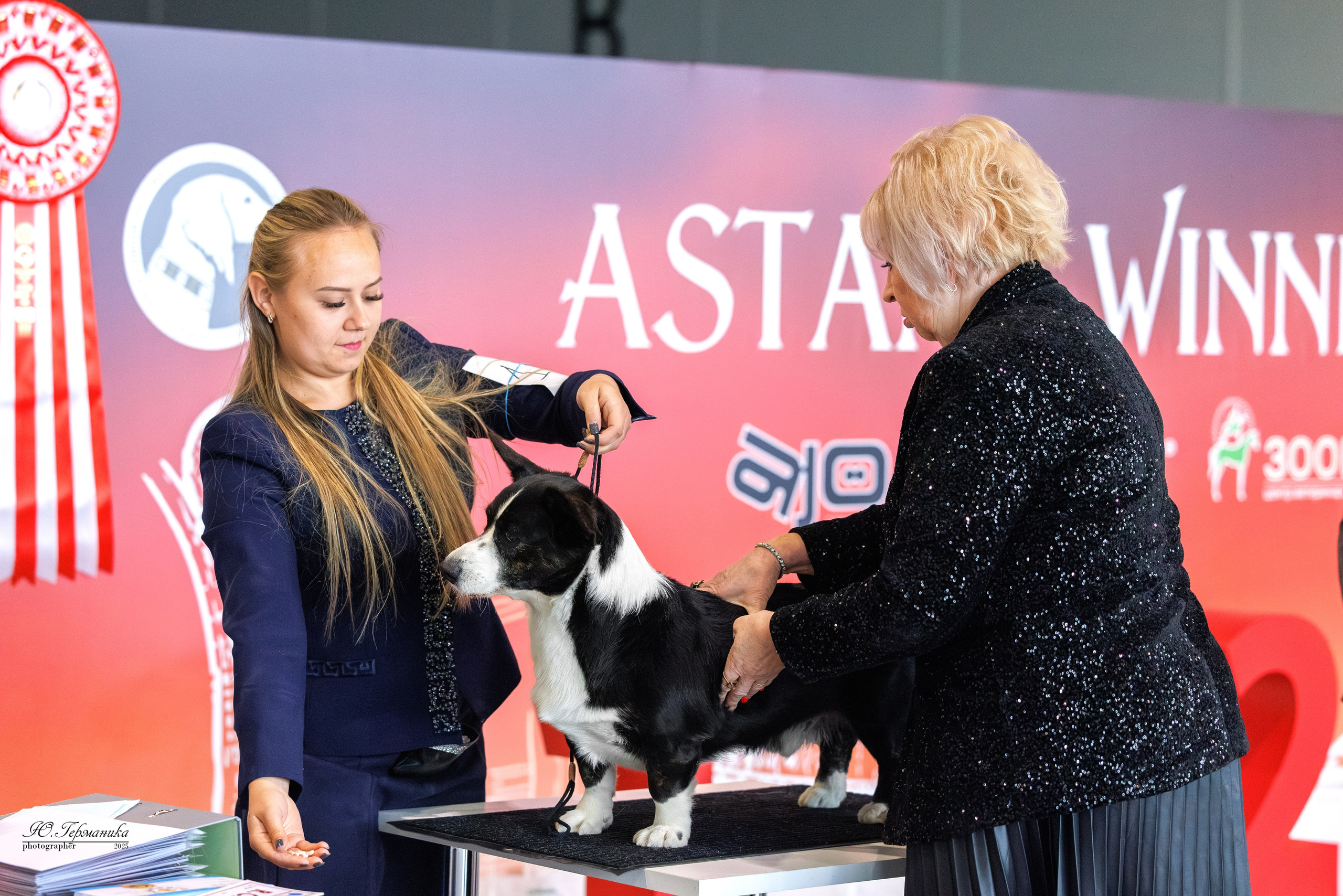 Астана 2хCACIB 3-4.05.2025. Фотограф-анималист Юлия Германика