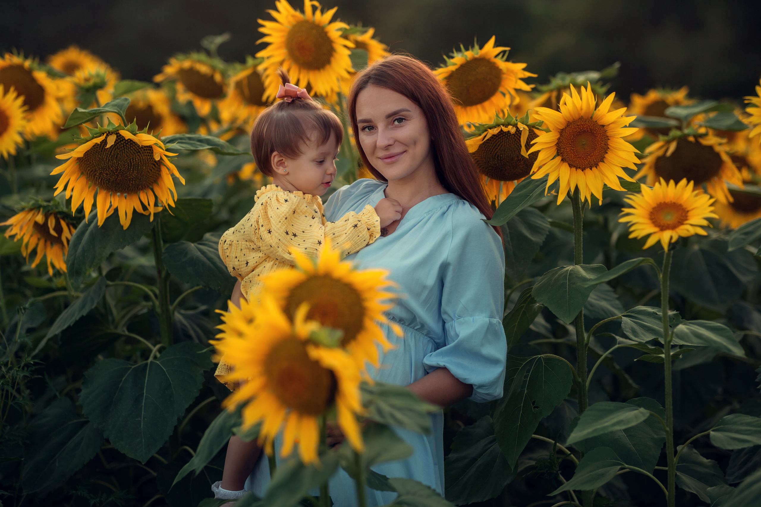 Подсолнухи. Семейный и детский фотограф Екатерина Савёлова
