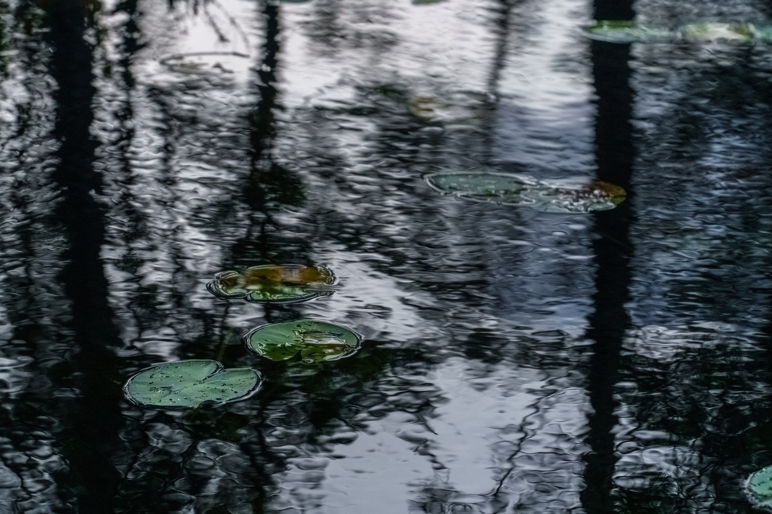 Осенняя Карелия