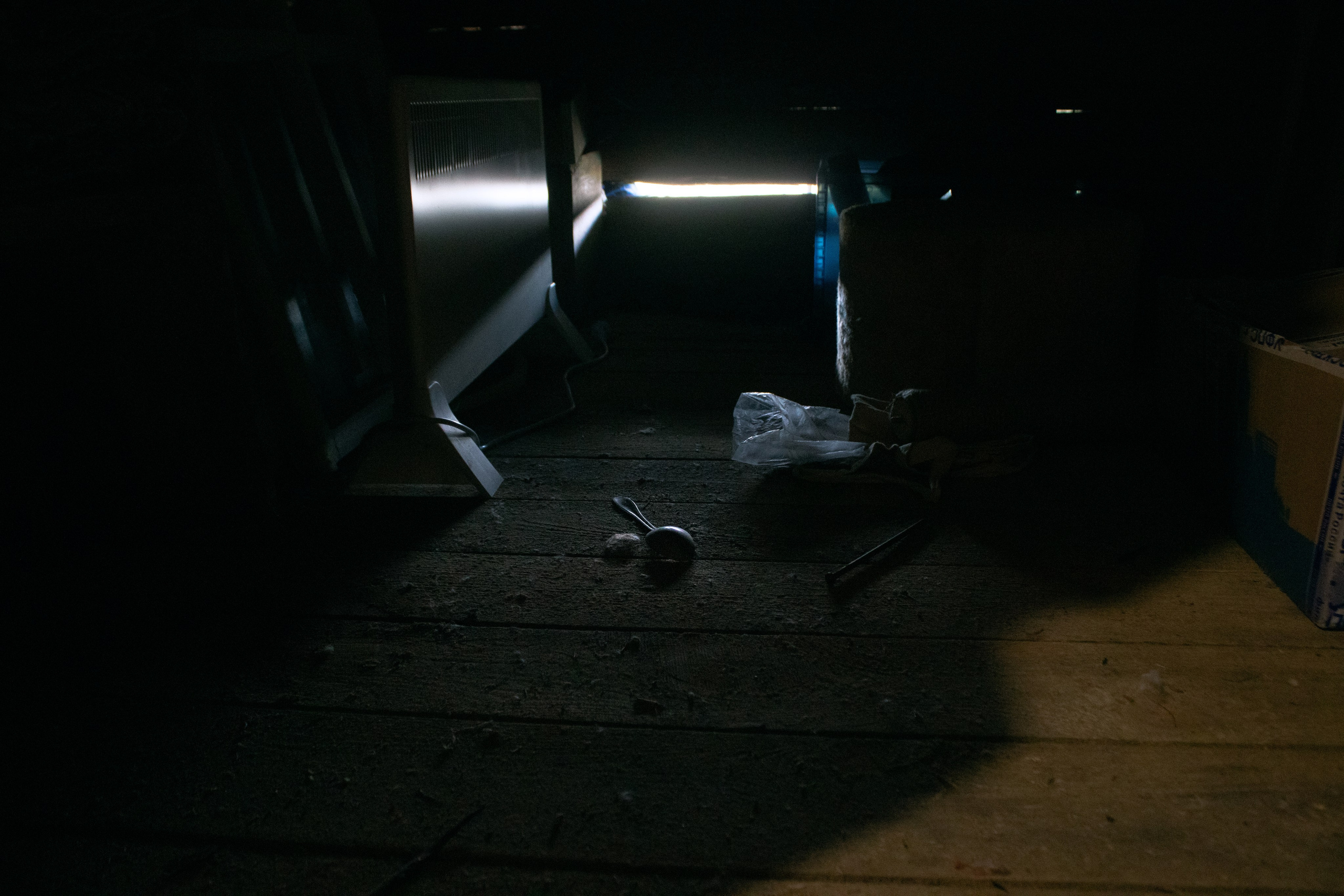 Вепсский ковчег. Полина Щапова БМК235 Медиаком — НИУ ВШЭ