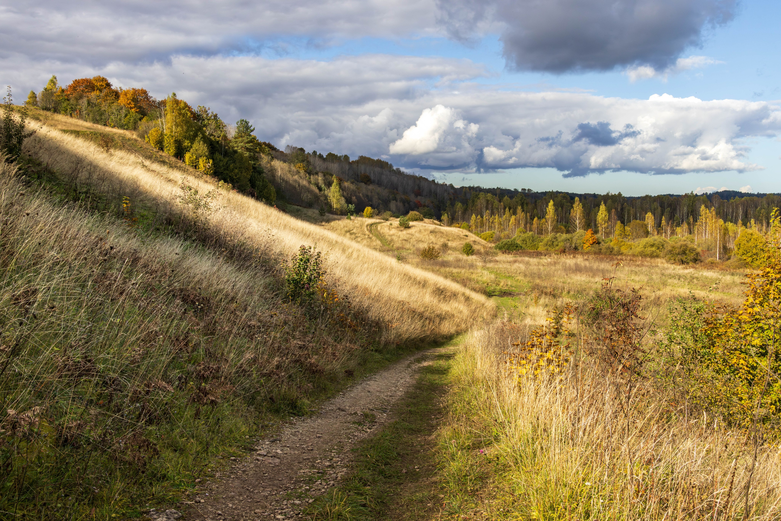 Архитектура и пейзажи. Главная