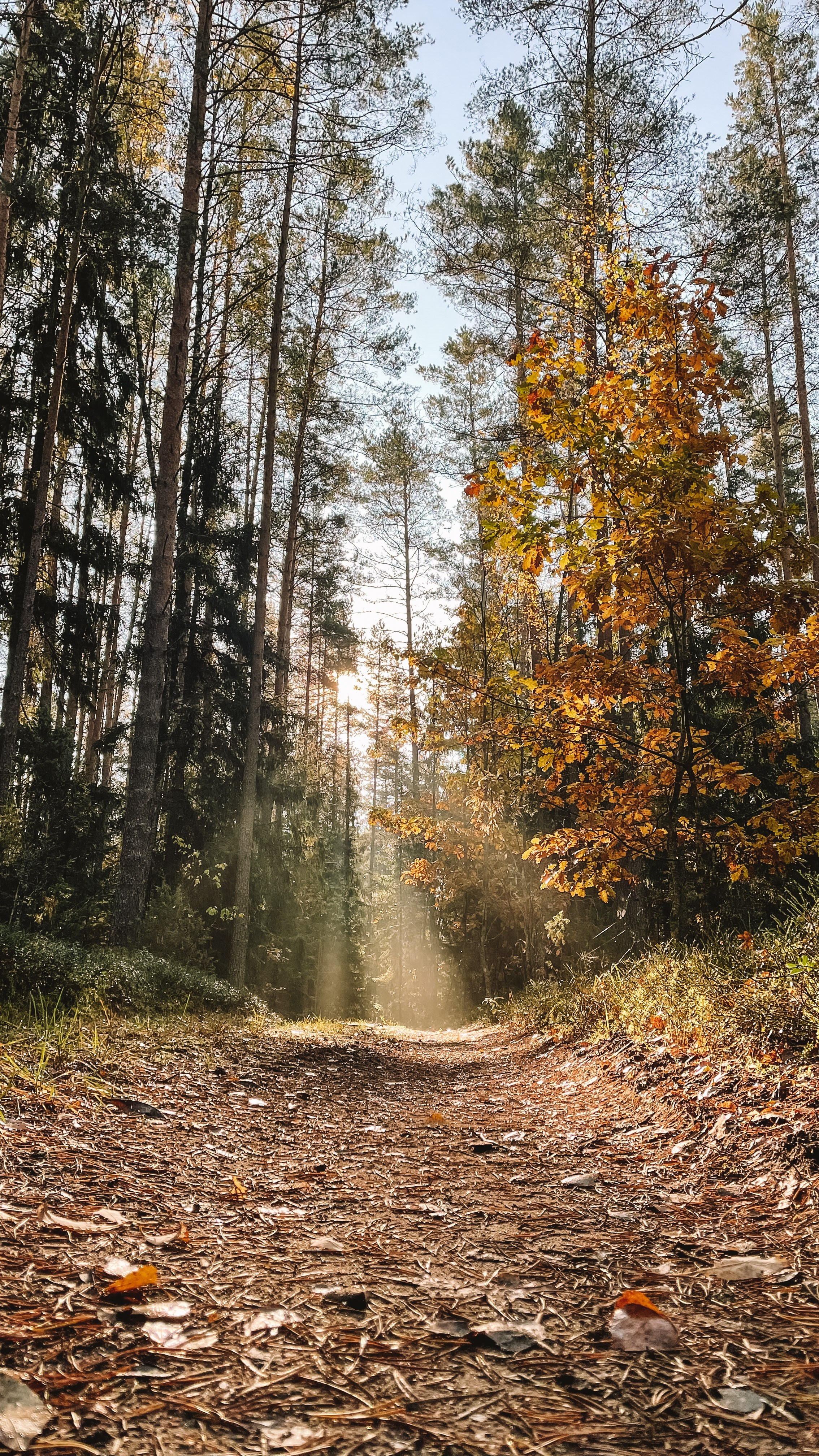 Пейзаж. Фотограф Олеся Шипихина г. Москва