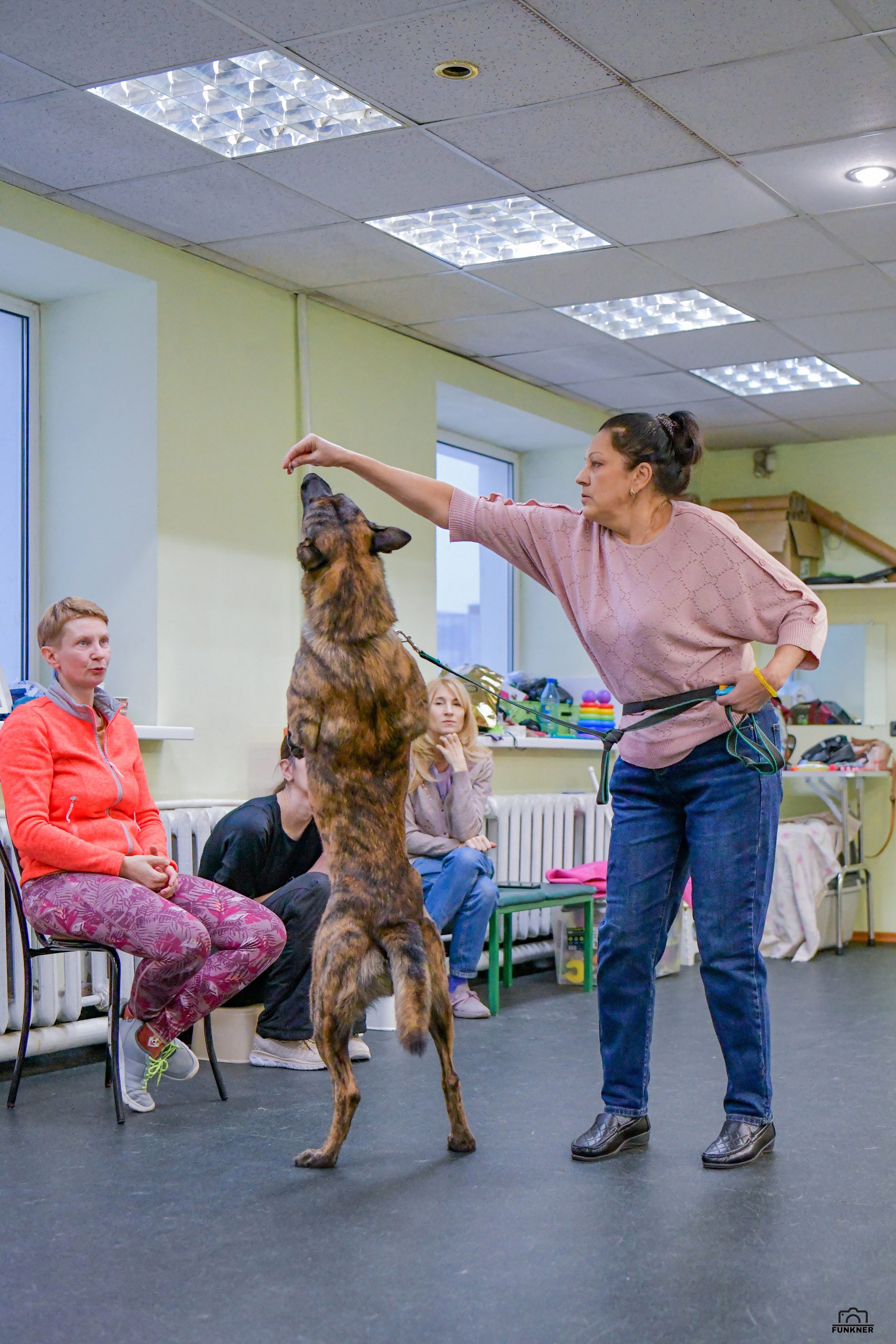 Кинологический клуб «Бодрый хвост». Свой взгляд через объектив