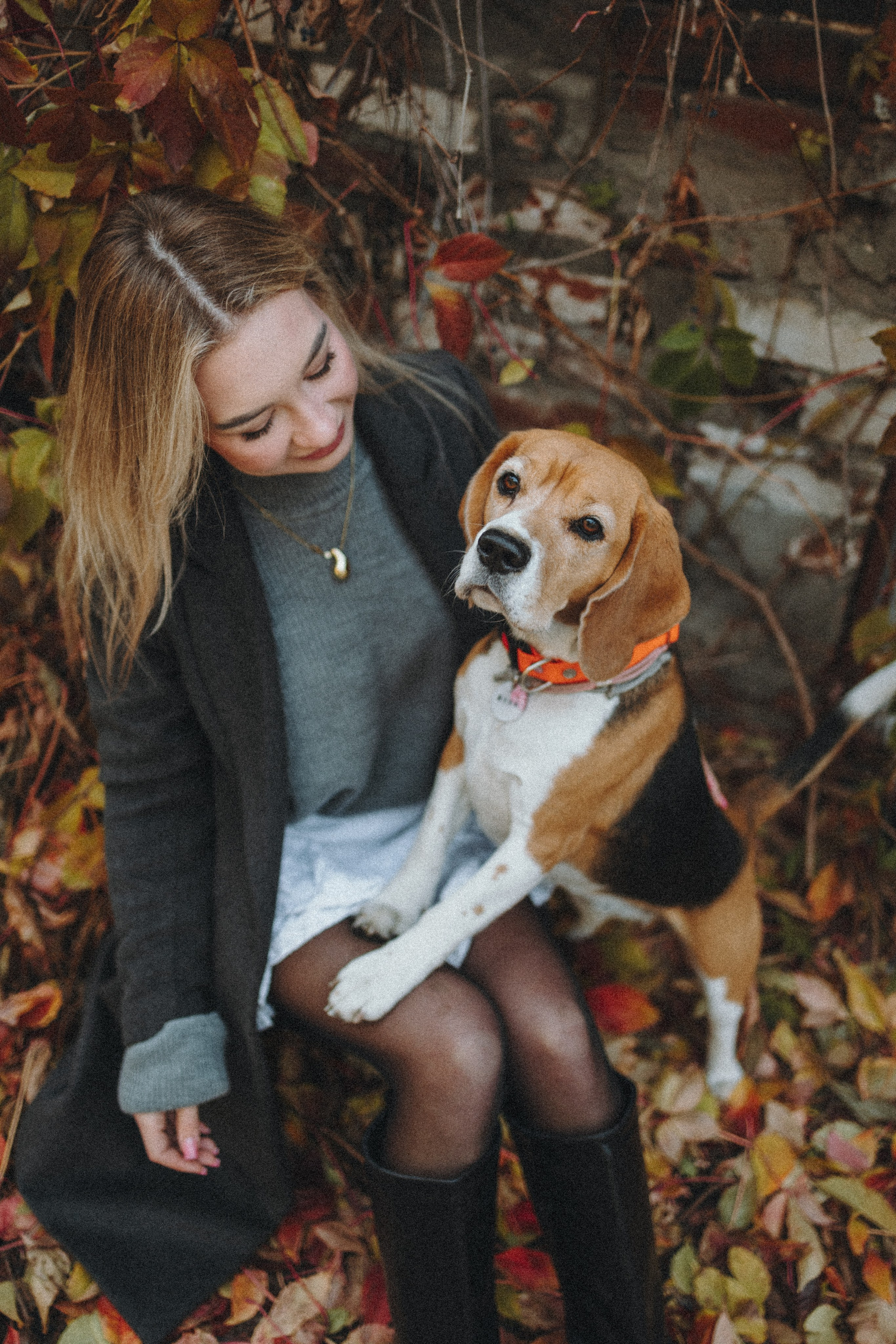 Аня и Моня. Фотограф — анималист Светлана Кысса|фотограф собак в Краснодаре и Нижнем Новгороде