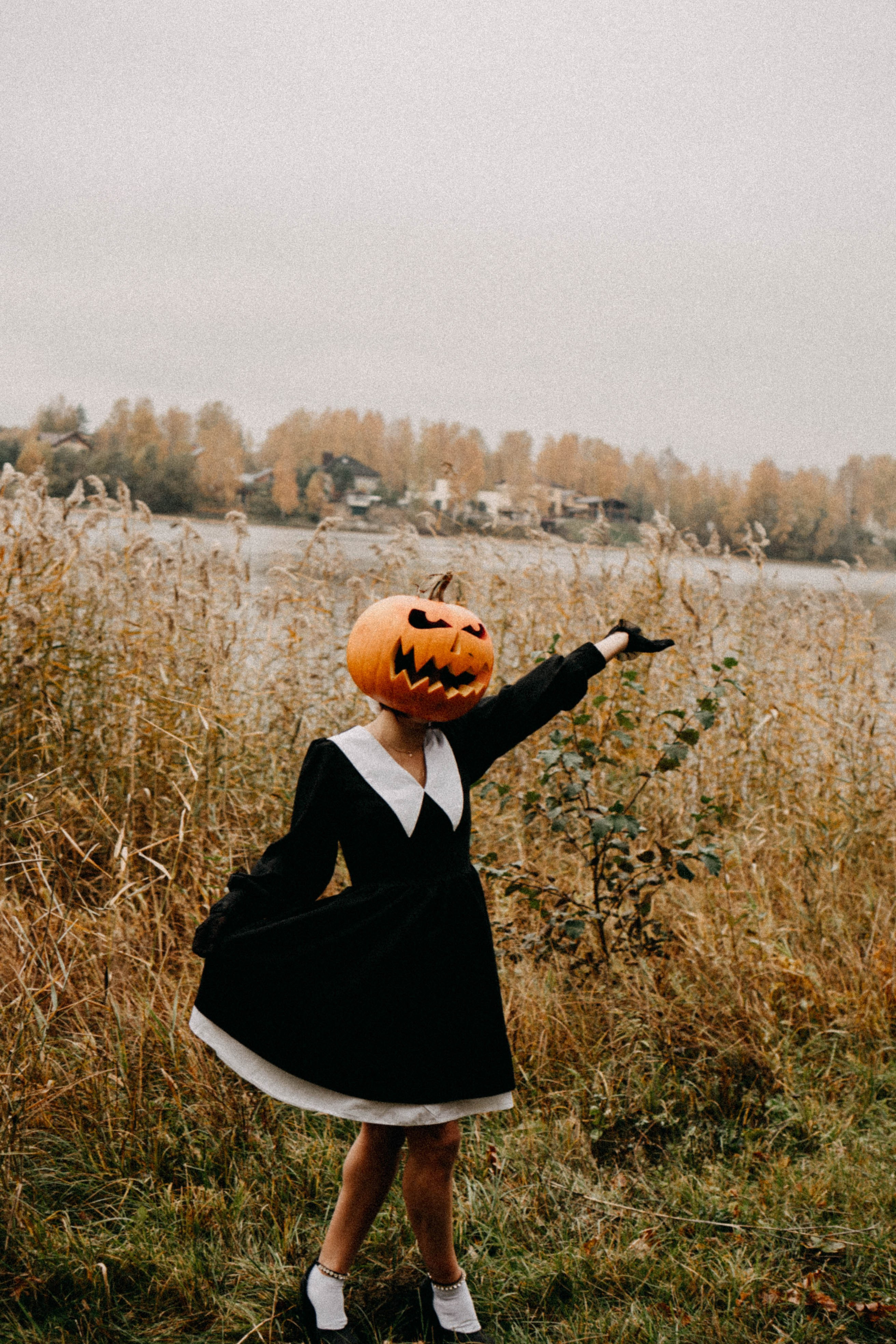 Осеняя. Профессиональный фотограф, Санкт-Петербург — Виктория Богомолова
