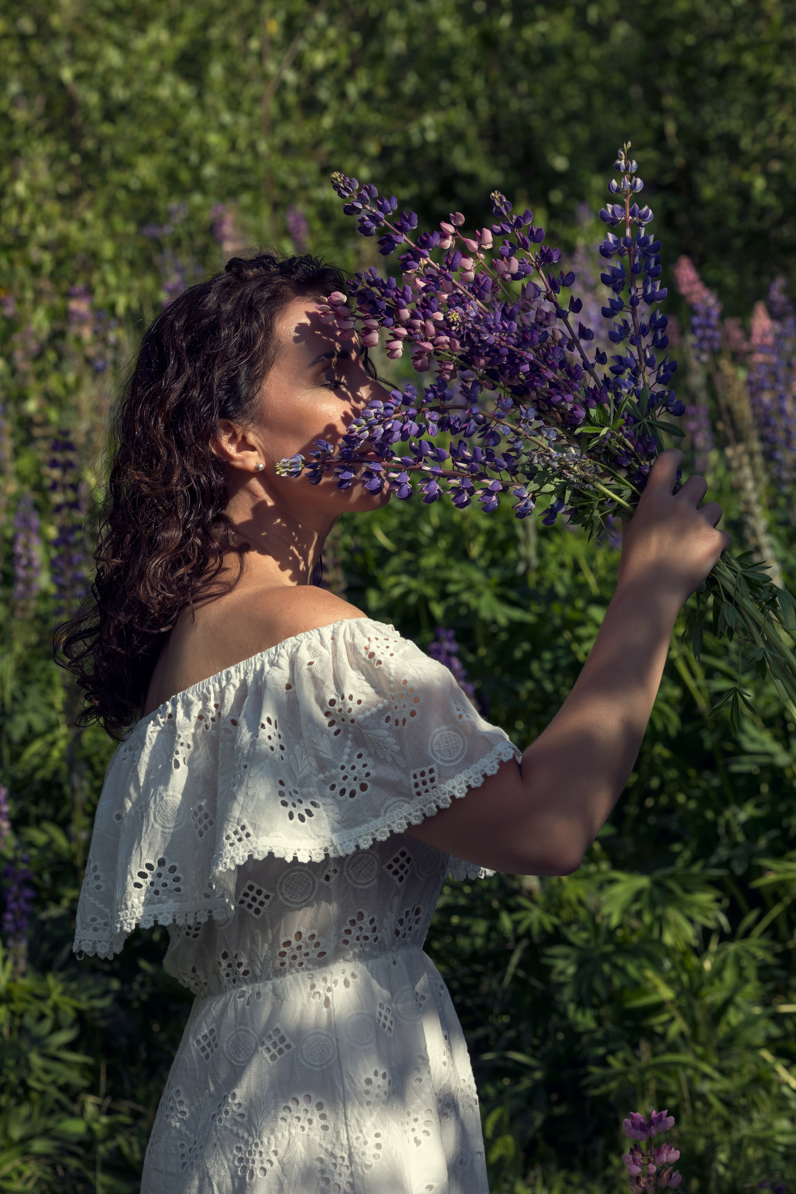 ФОТОПРОЕКТ «ЛЮПИНЫ». ФотоХудожник Харитонова Ирина г. Санкт-Петербург