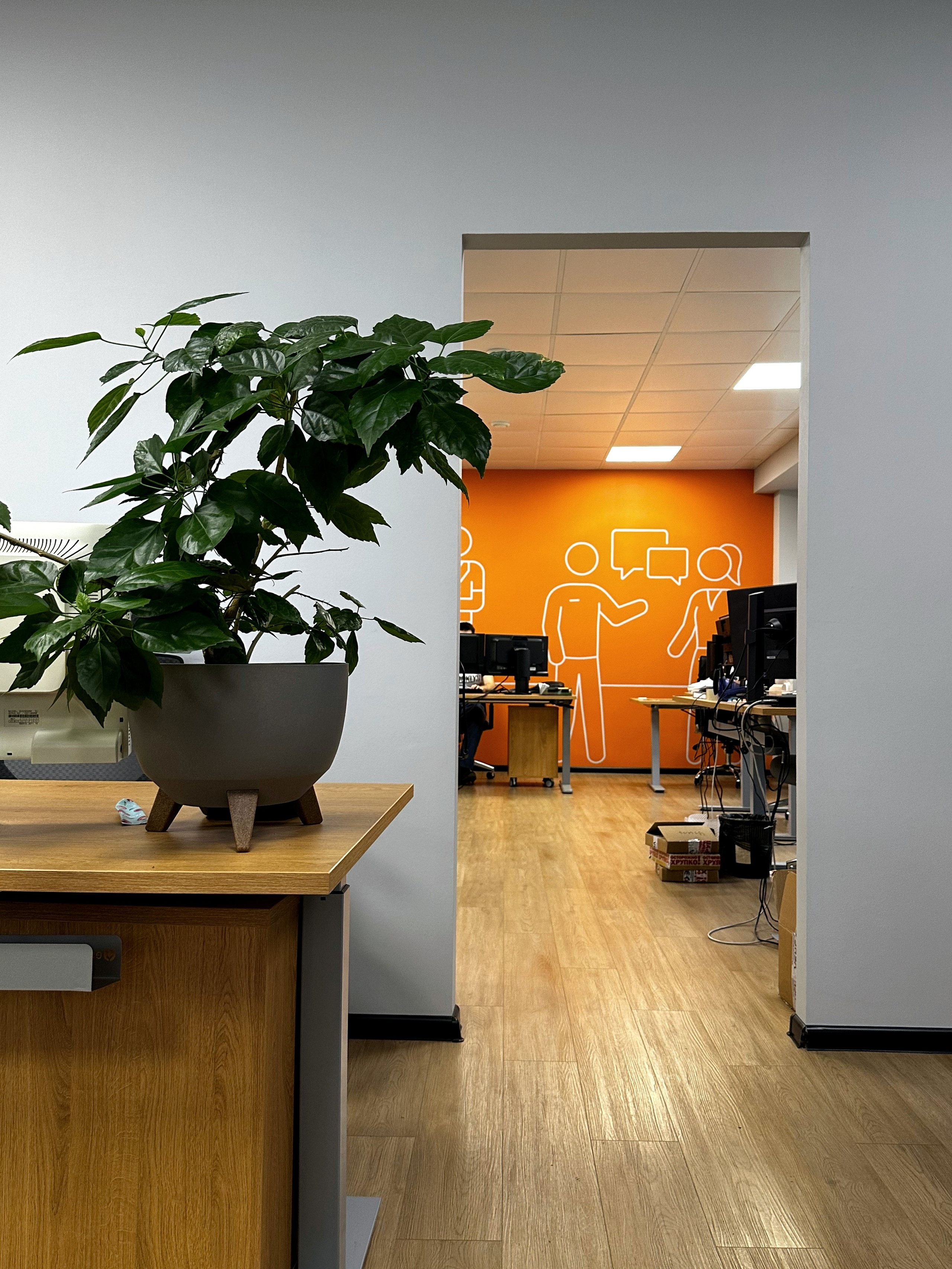 Второй офис — тоже Дом. Москва. Павлова Евгения