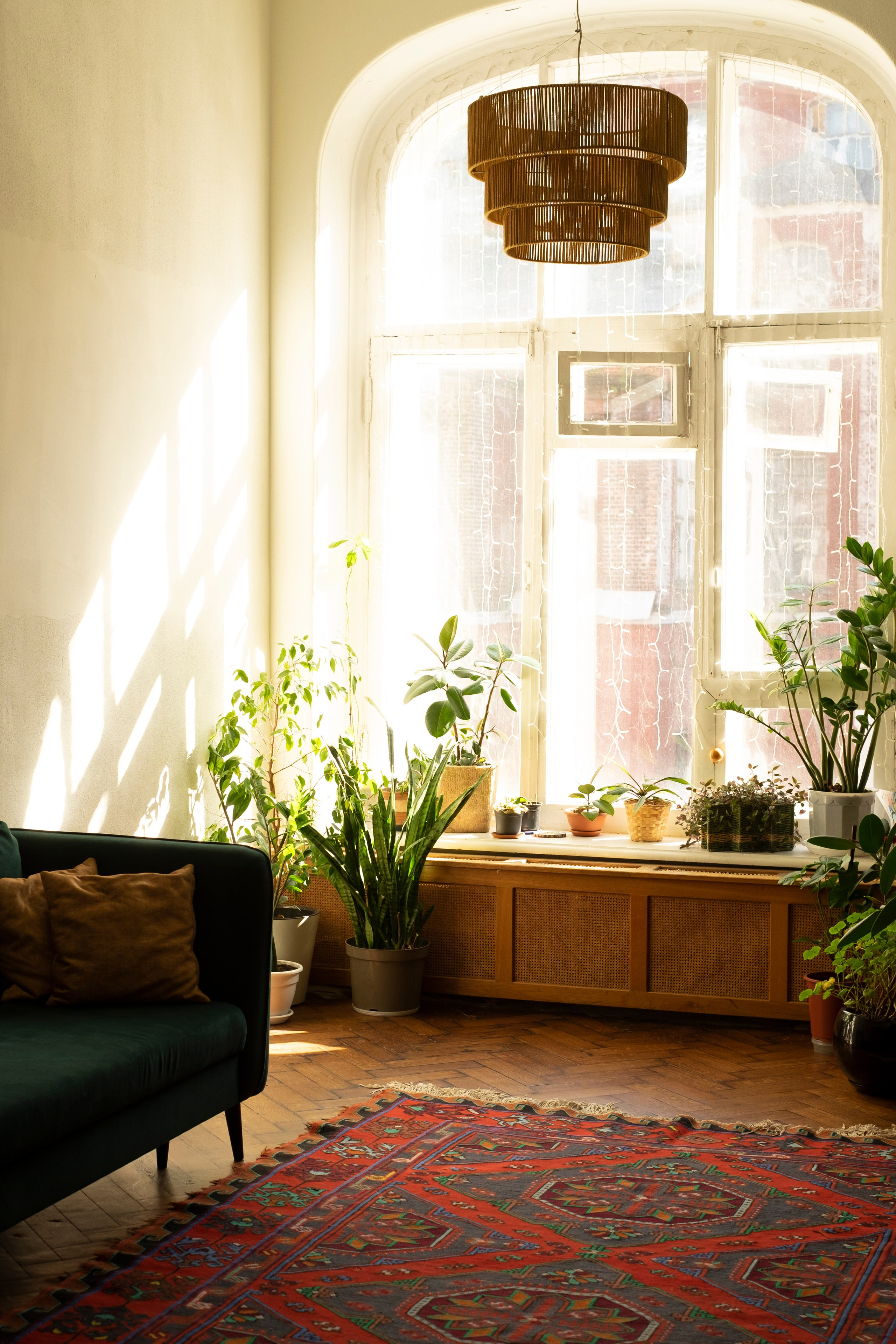 Живая Студия. Фототерапия «Пульс СЧАСТЬЯ»