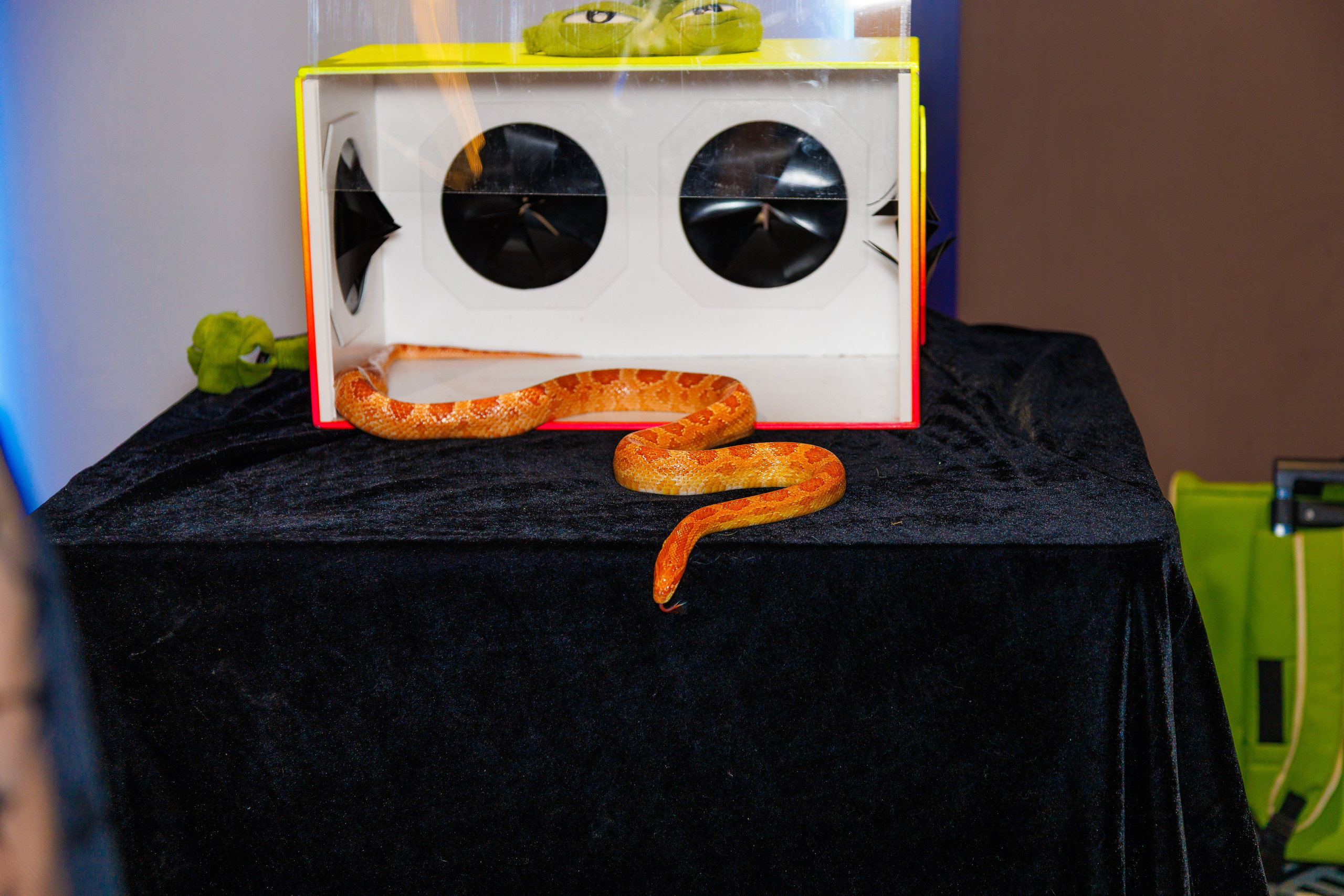 Детские дни рождения. Фотограф в Москве фотосессия