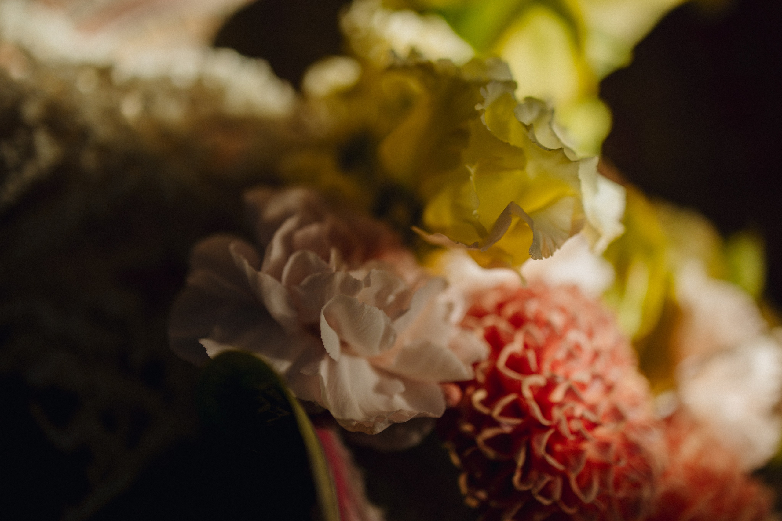 Анастасия & Тельман. Свадебный фотограф ростов