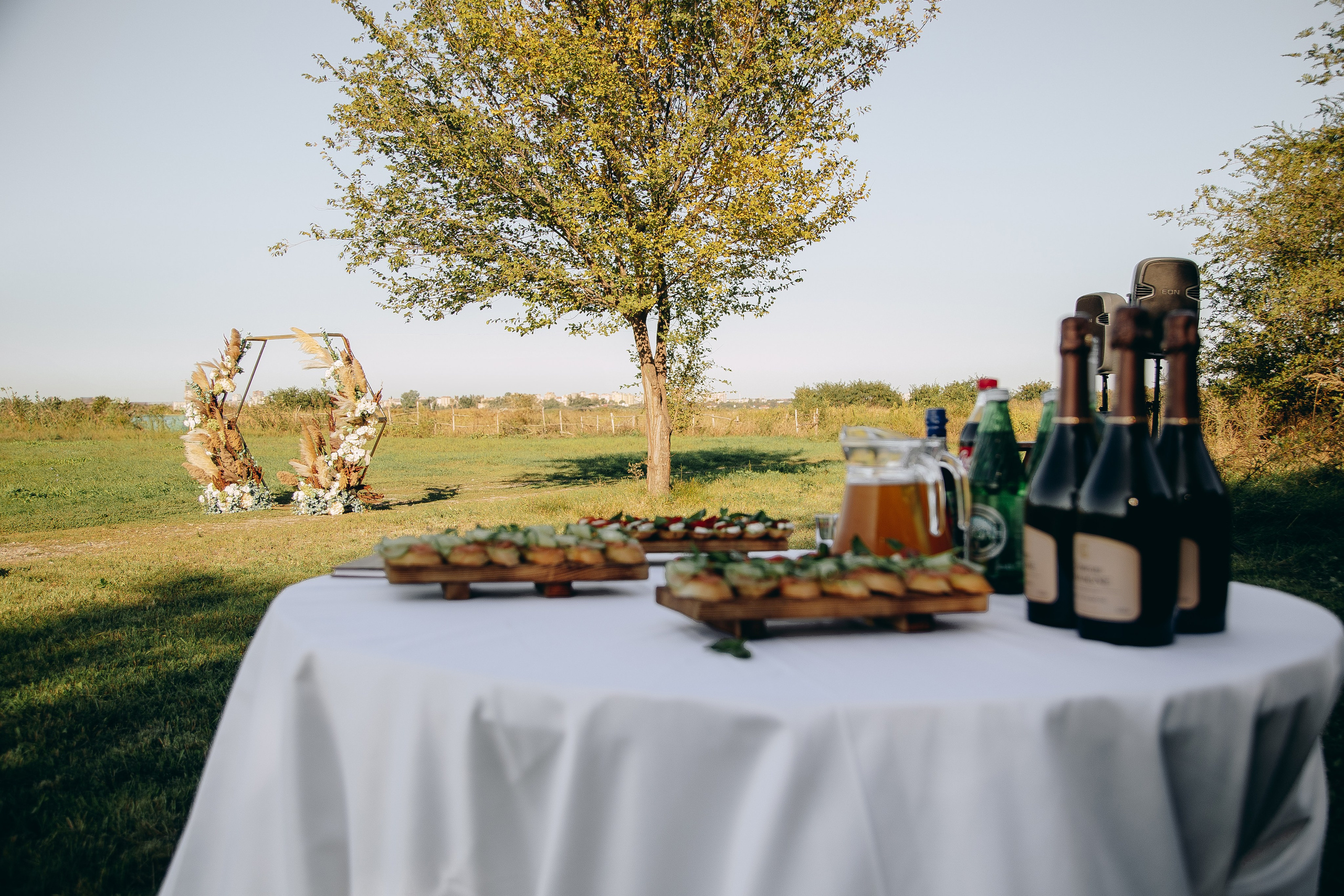 Денис & Виктория. Свадебный фотограф ростов