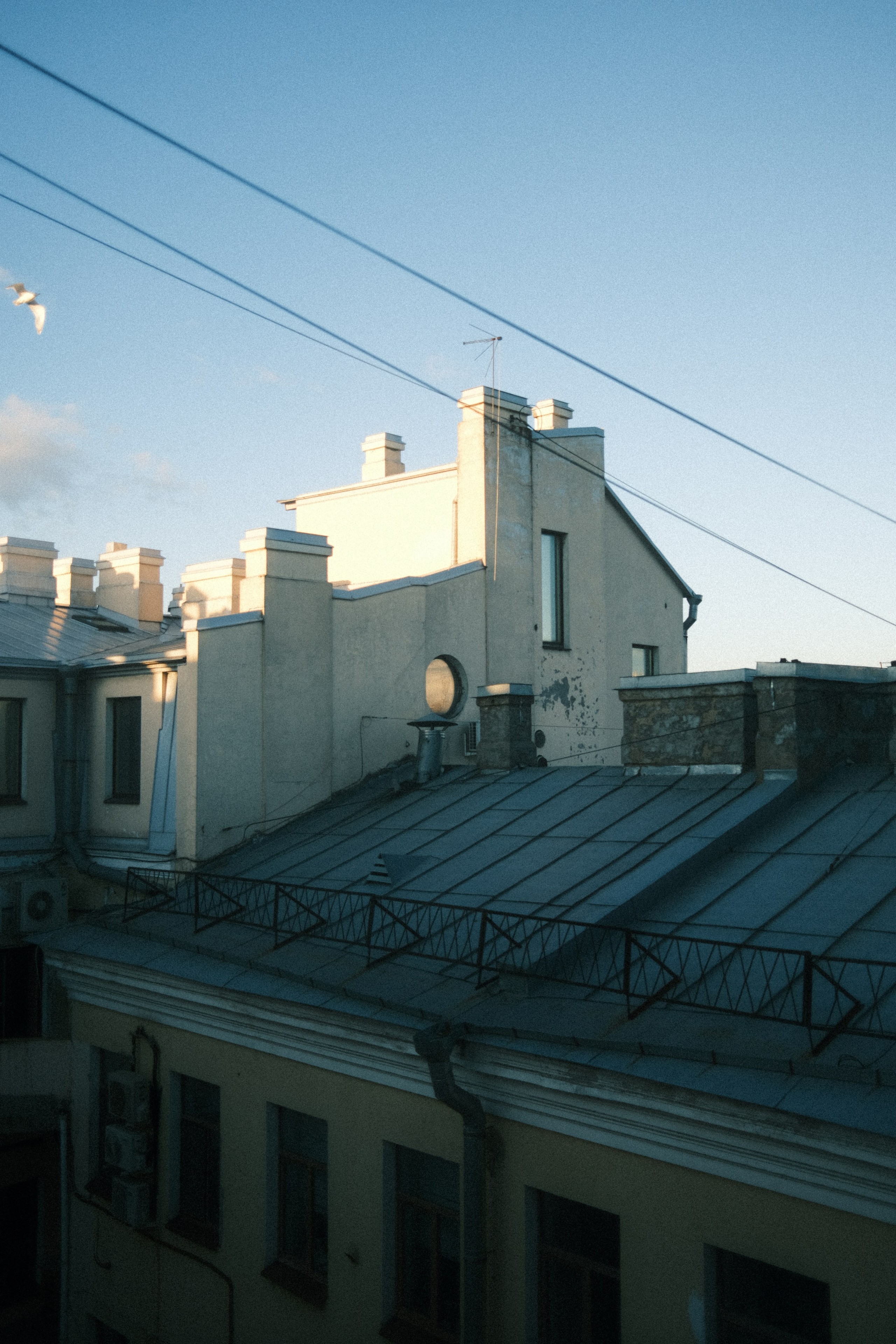 Вид из моего окна. Портретный фотограф