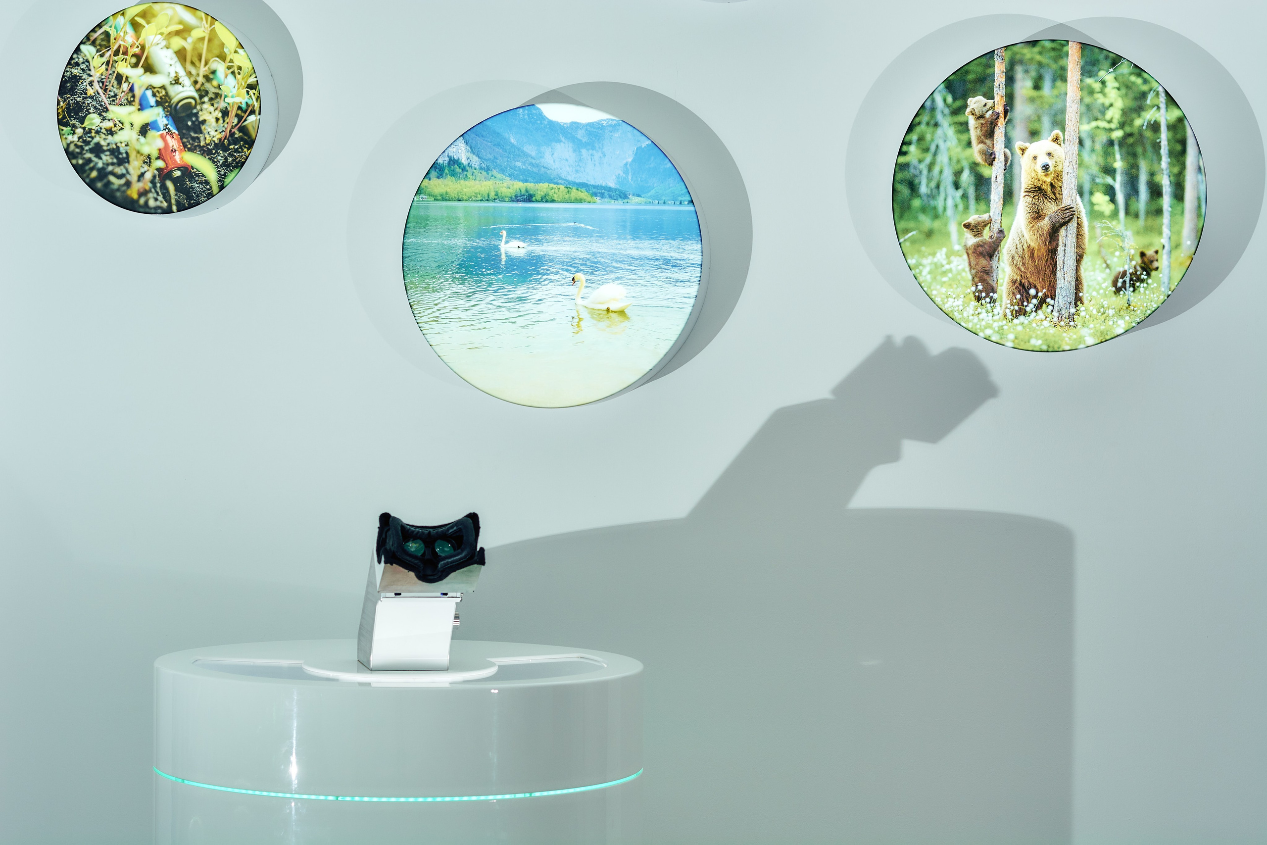 Интерьерная съемка Визит-центр Национальный парк «Кисловодский». Константин Кордонский | Интерьерный и food-фотограф в Кисловодске и КМВ