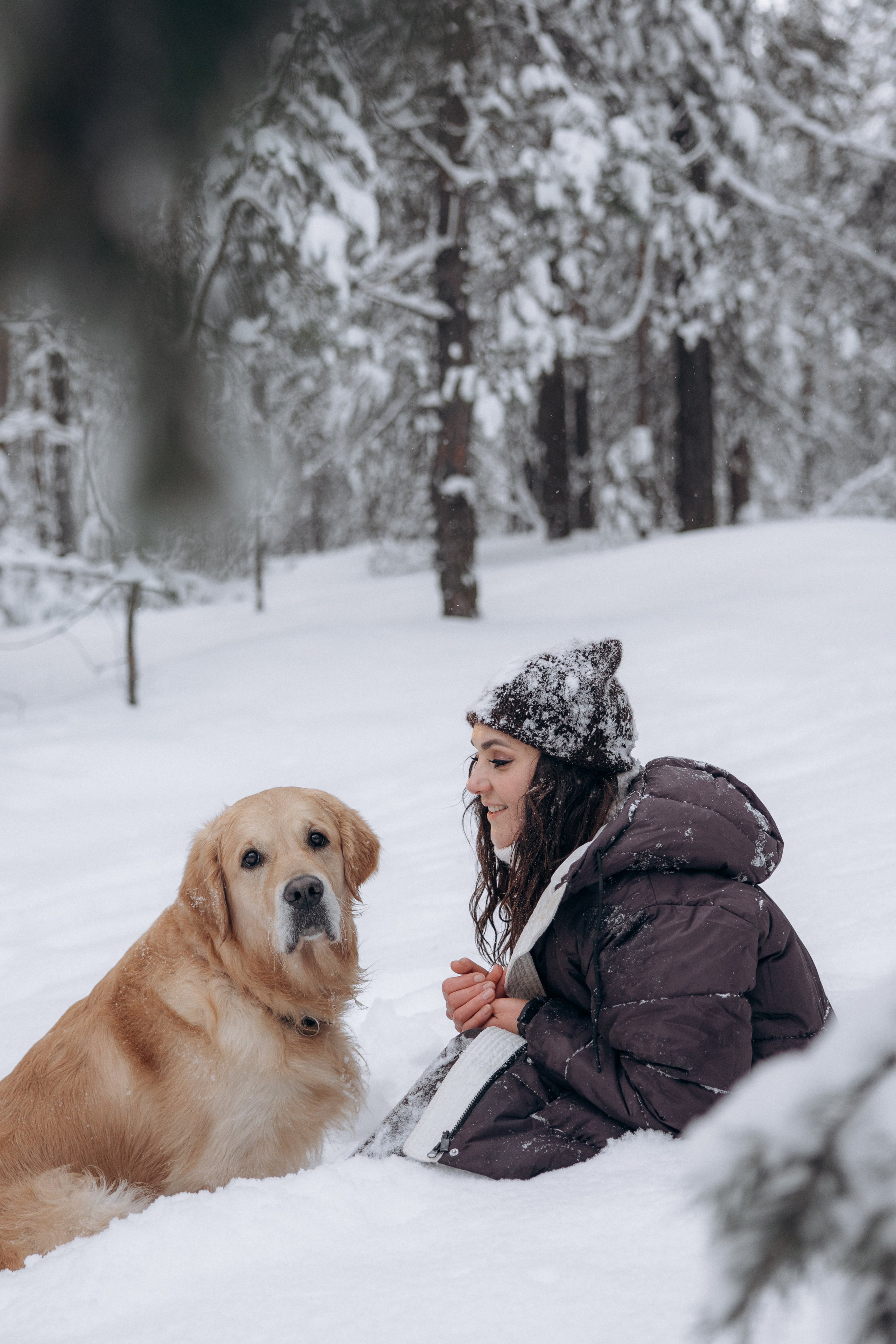 Зимняя история, Света и Чарли. Фотограф анималист в Казани Алина Сулейманова. Фотограф животных