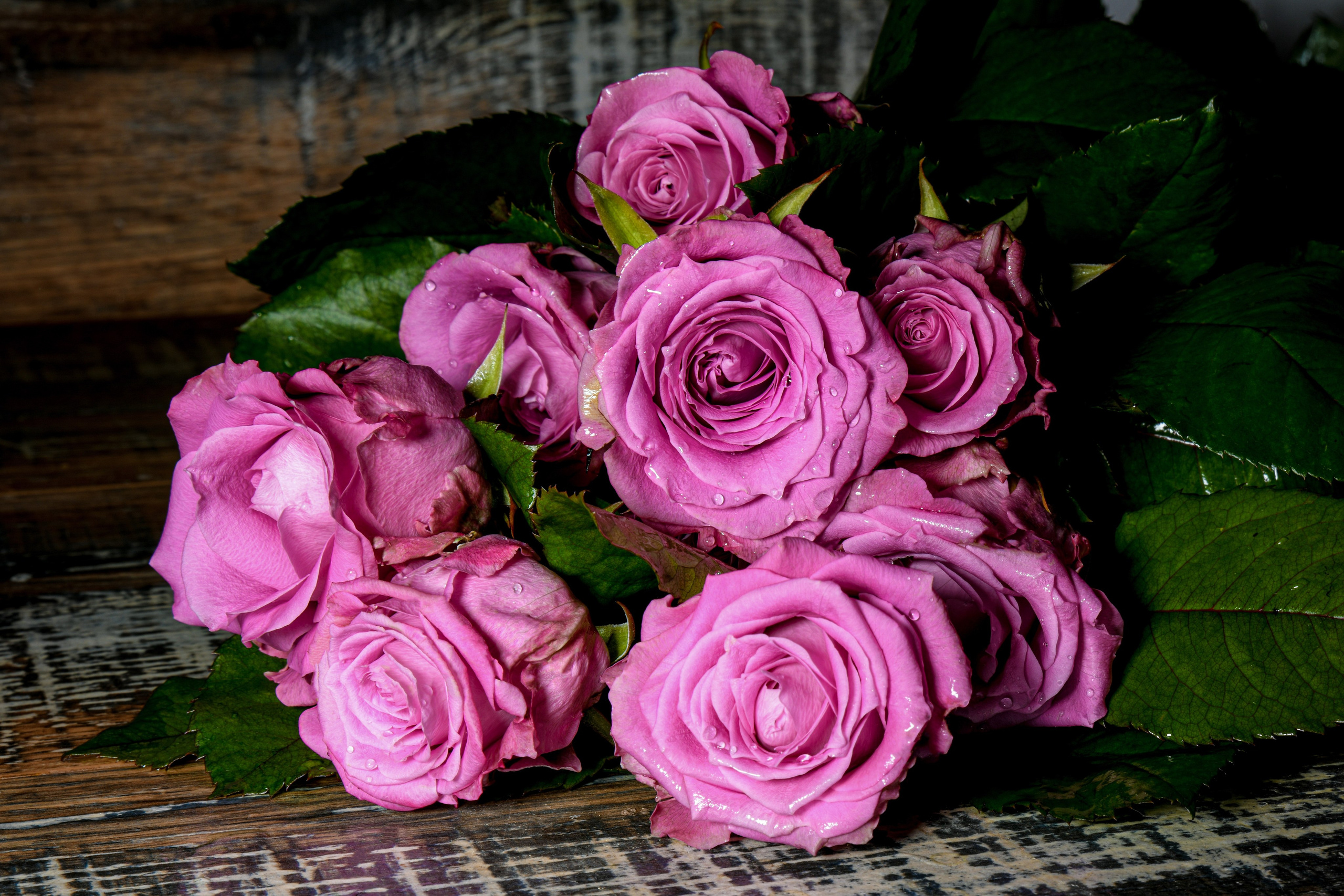 Предметная фото и видео съемка. Арт студия «Пегас». Фото- и видео- съемка