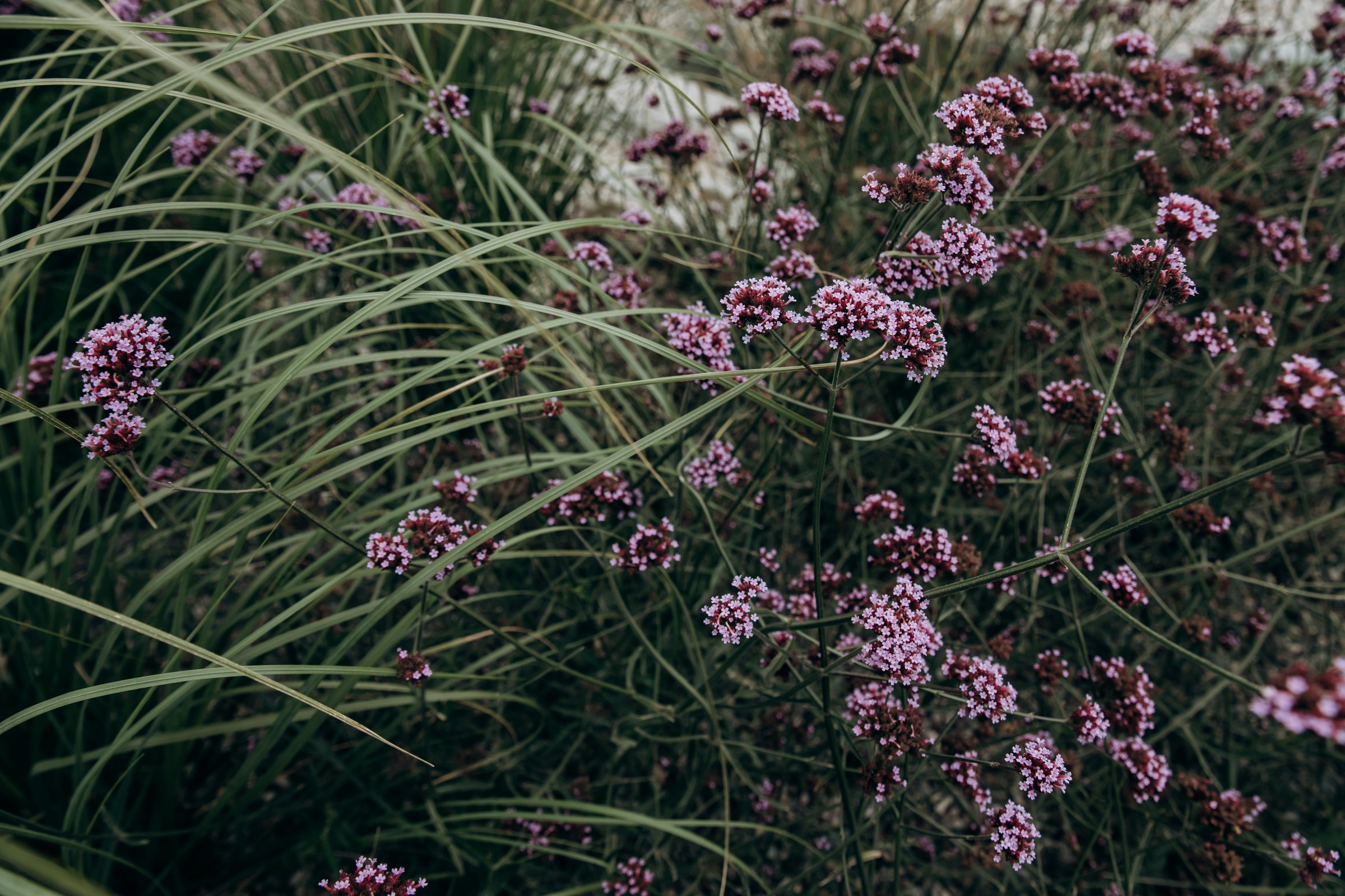 Съёмка для компании INTEQ HAUS из Москвы. Фотограф в Крыму — Федор зайцев. Свадебная, семейная и портретная съёмка. Фотографии для контента, для бизнеса. Корпоративная съёмка