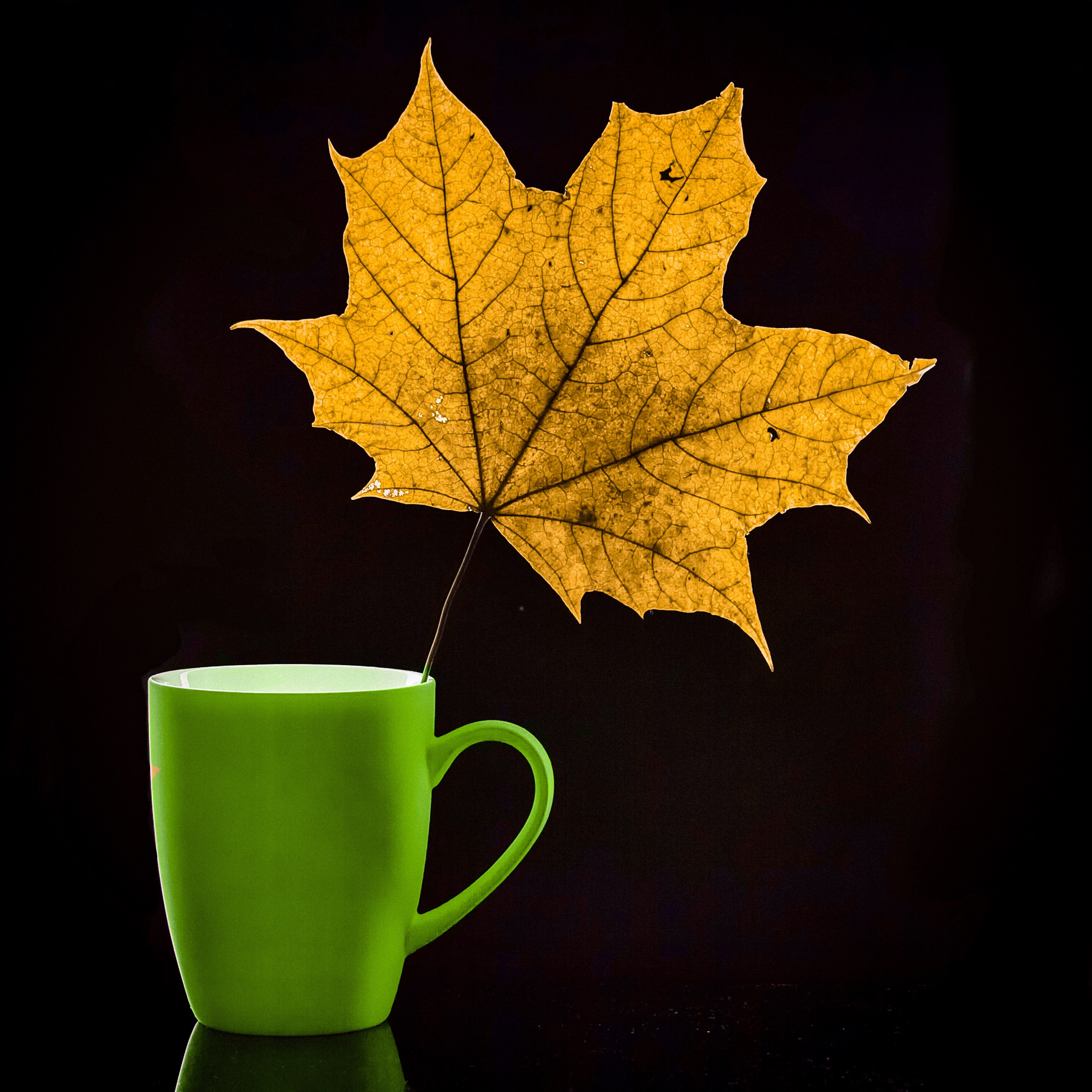 Натюрморт. Пейзажный и семейный фотограф в Санкт-Петербурге Александр Белов