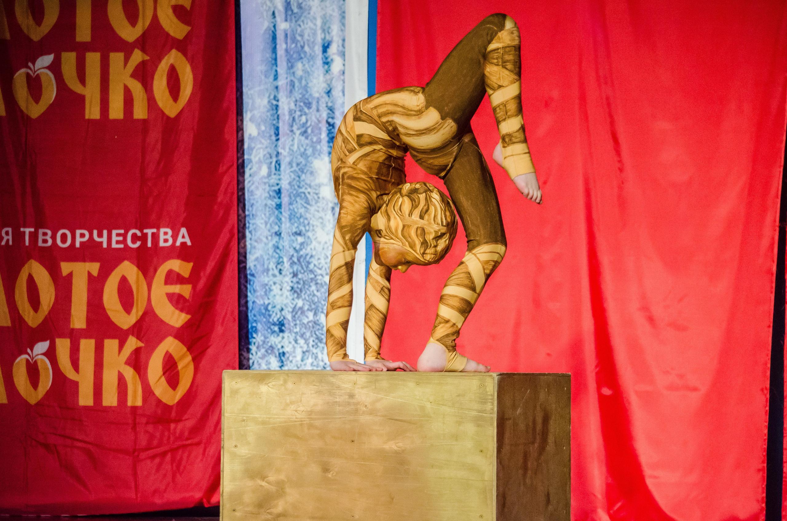 14 декабря, г. Омск. Золотое яблочко