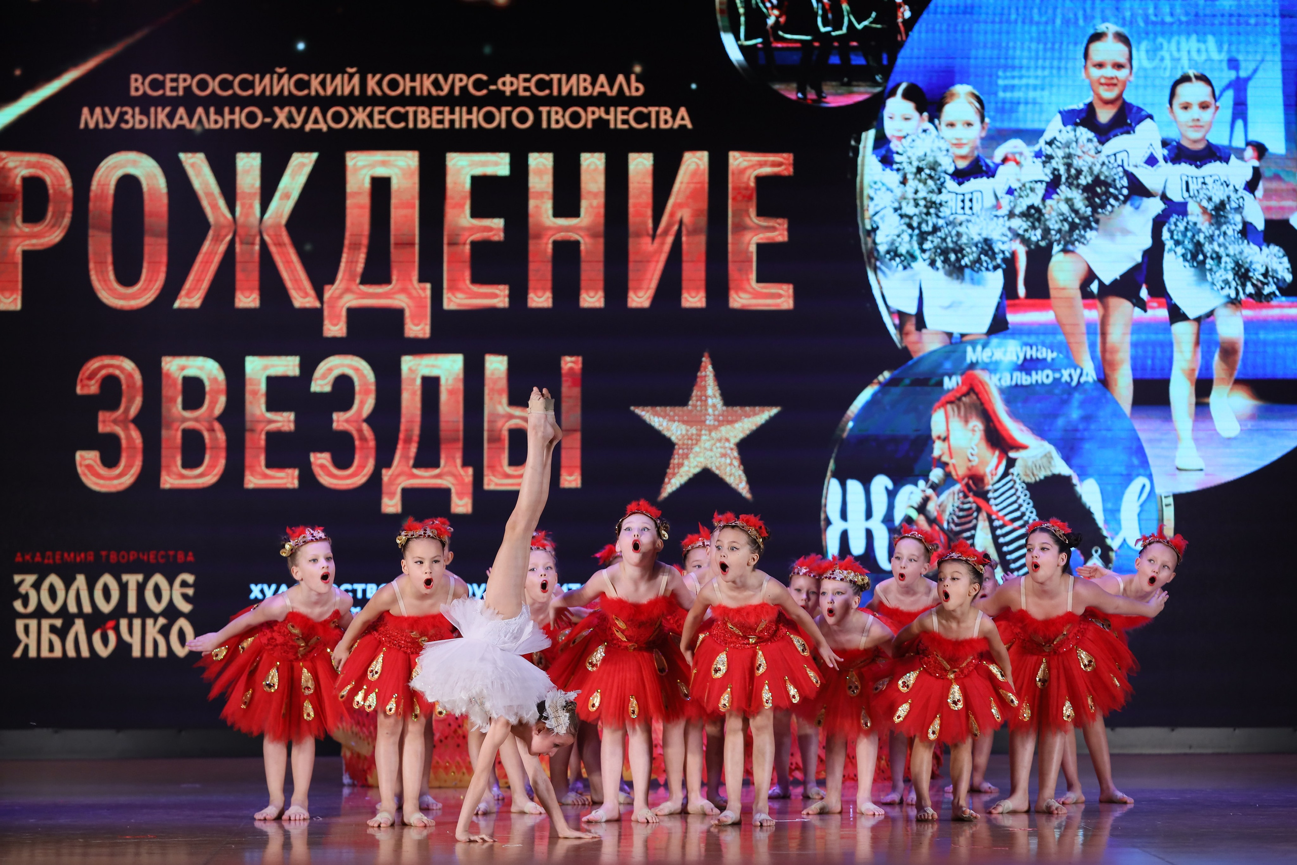 4 ноября, блок 1, видео, номера 14-29, г. Краснодар. Золотое яблочко