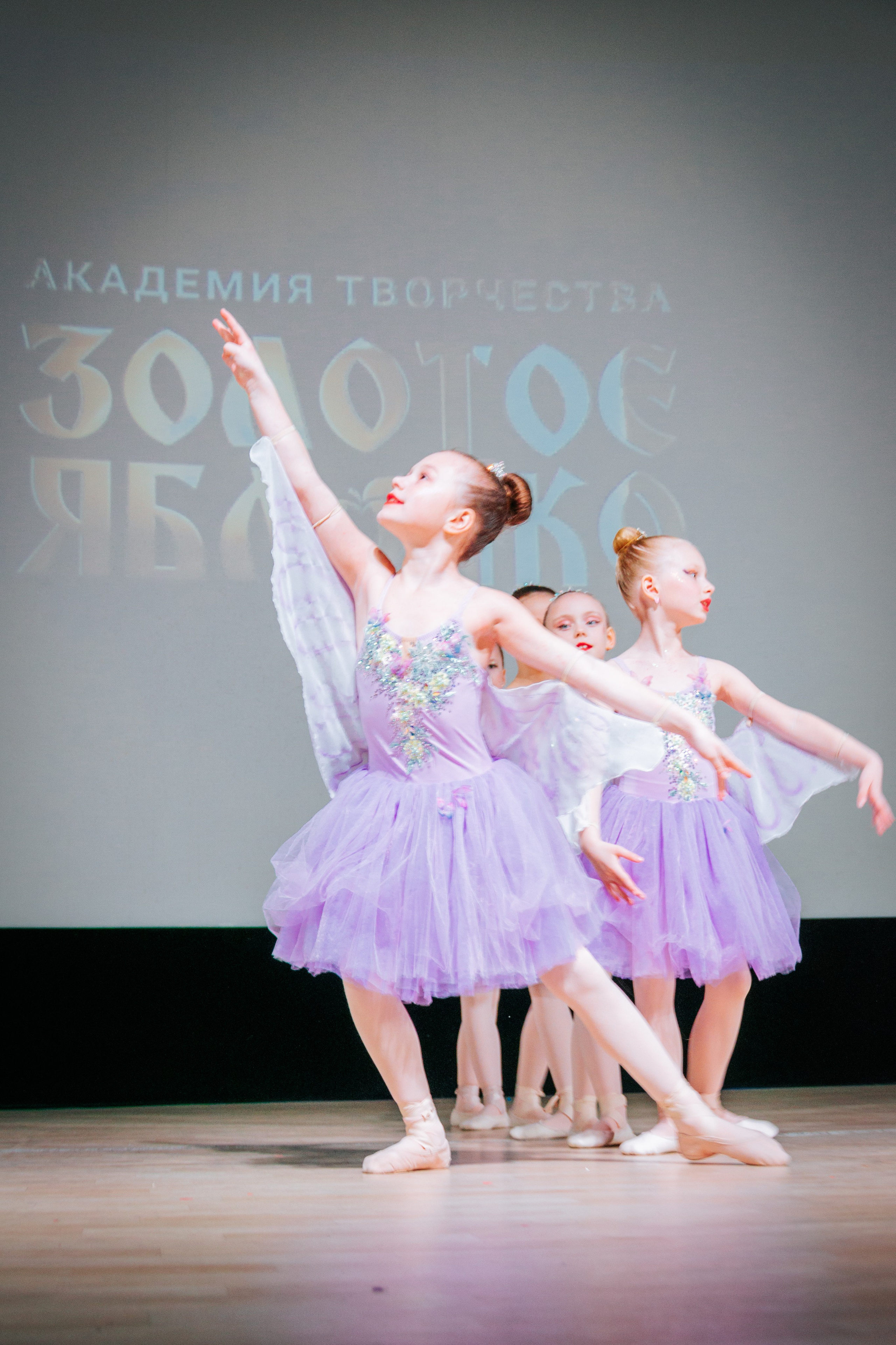 16 марта, г. Суздаль. Золотое яблочко