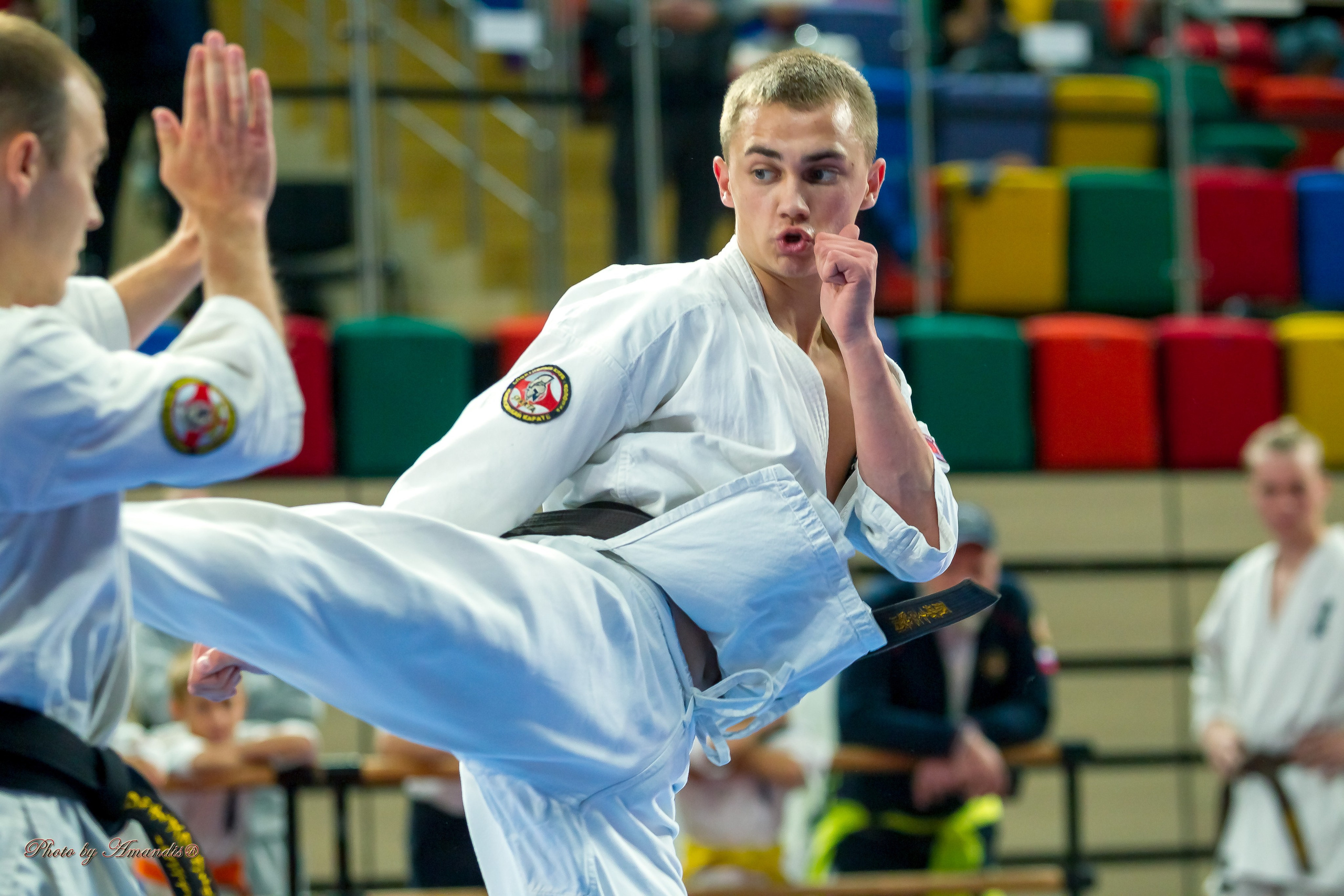 Первенство Московской области по Киокушин в СК «Жаворонки». Репортажная съемка в Москве и области. Анималистика