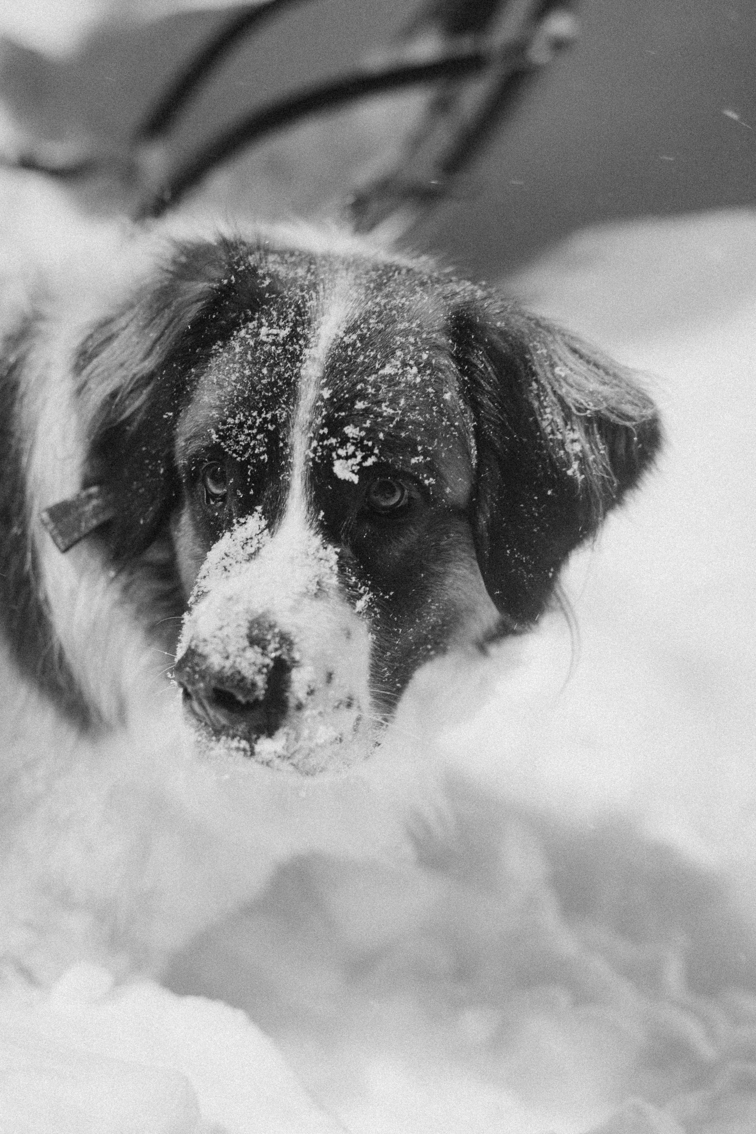 Когда на улице холодно. Фотограф из Петербурга