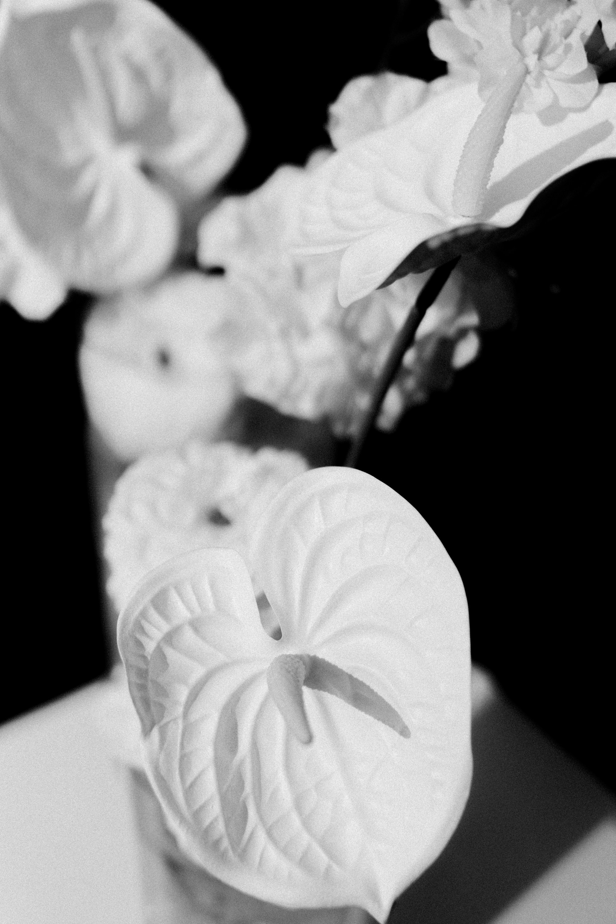 Алина и Николай. Репортажный и портретный фотограф во Владимире Сергей Кравцов