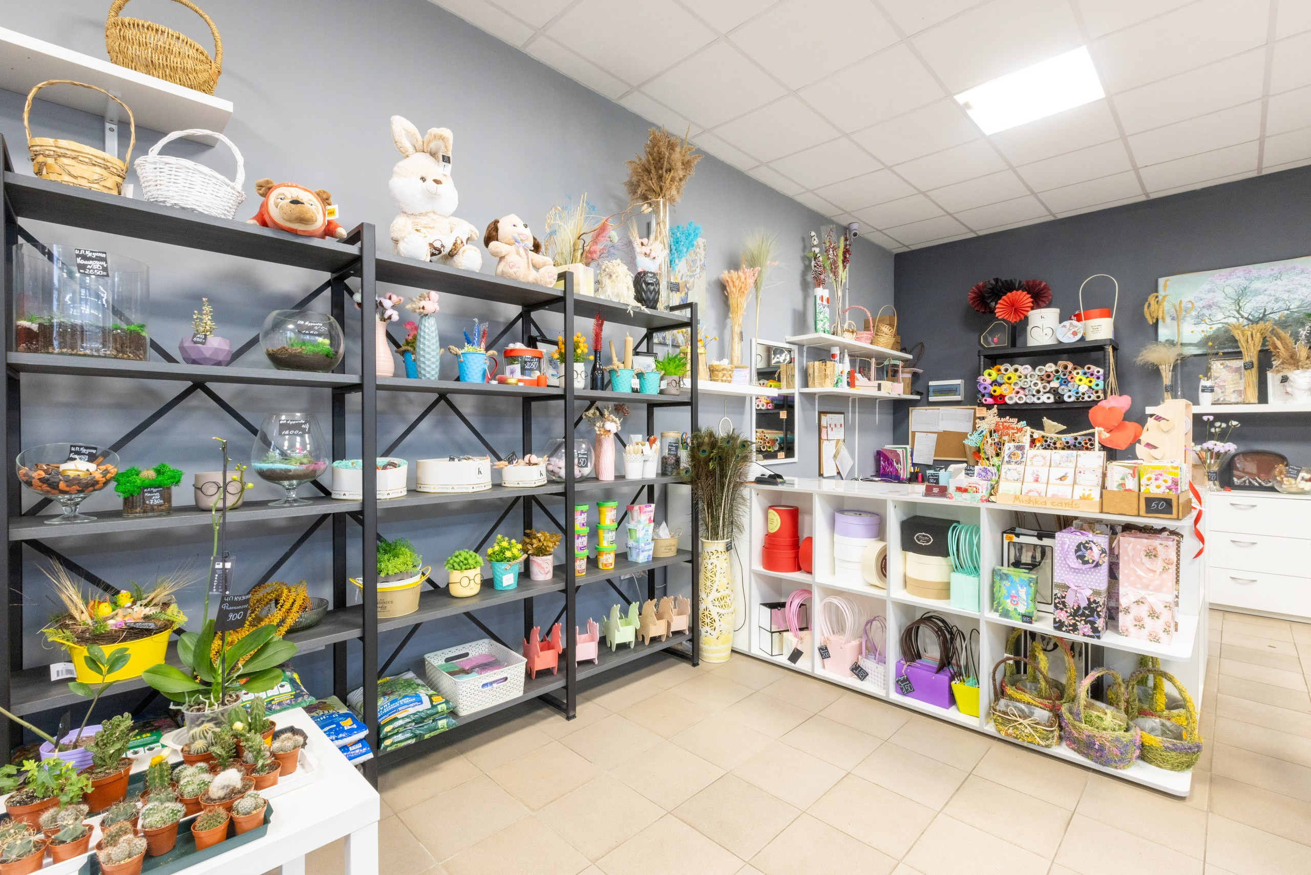 K`uzina studio. Фотограф в Туле Крупский АнДРей. Фотостудия «КАДР71» в Туле