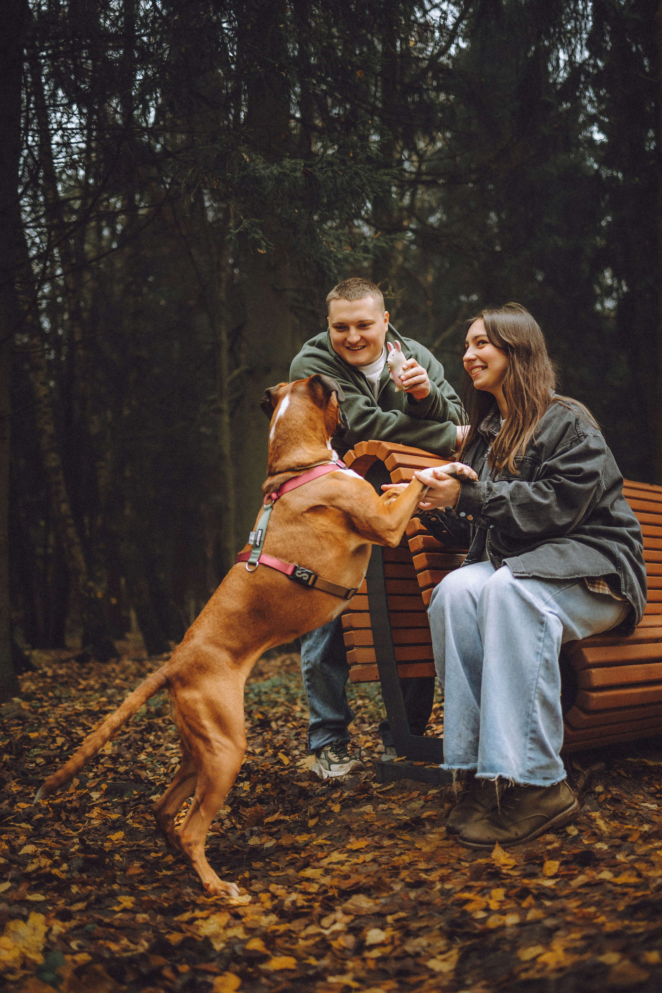 Элли и ее семья