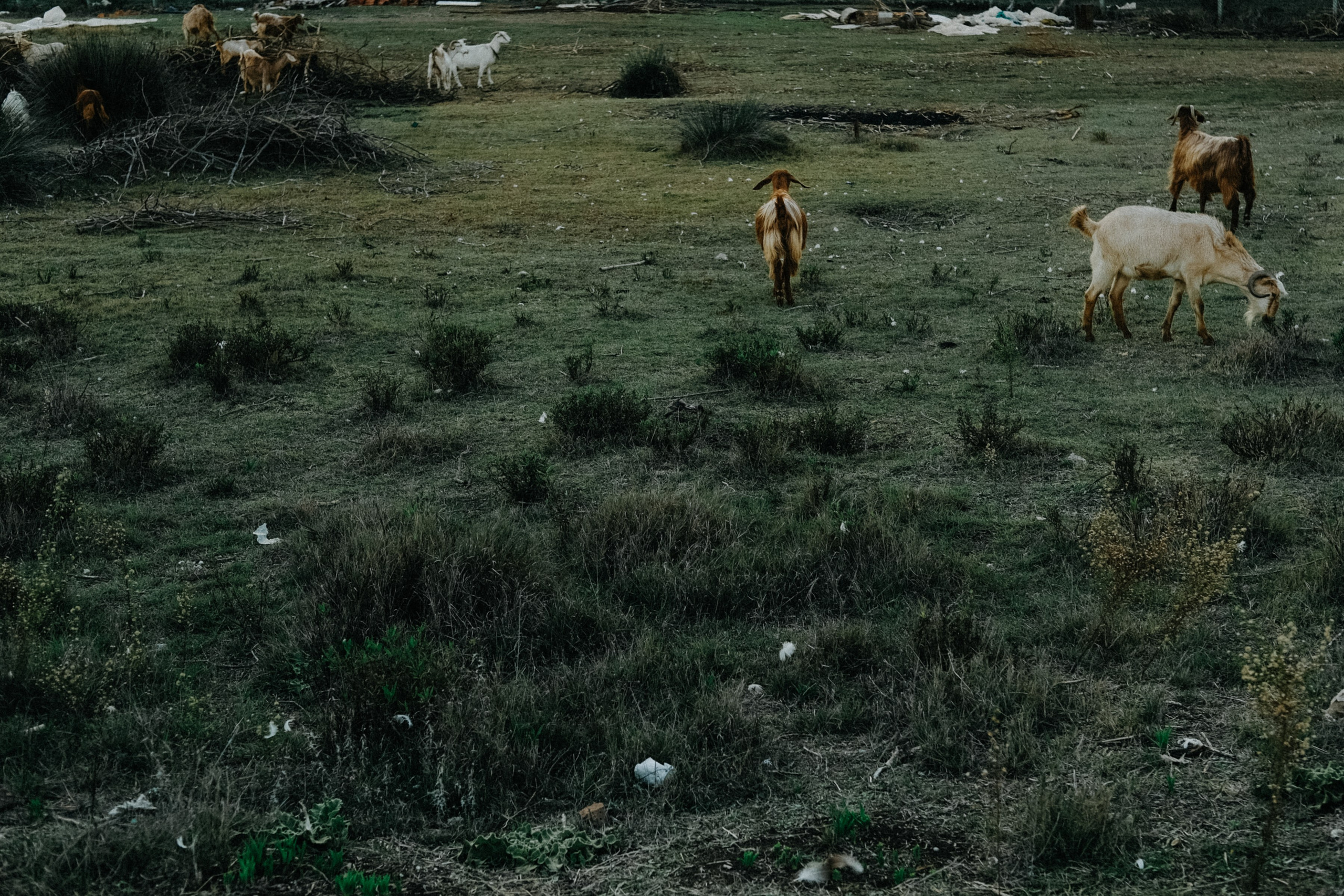 Lycian Way: Turkey. Обо мне