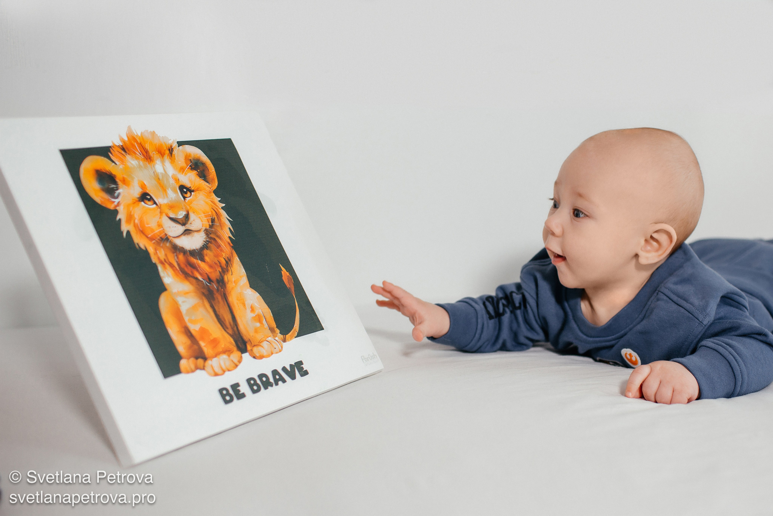 Младенец изучает картину с львёнком. Ребёнок на животе, картина «Be Brave». Любопытный малыш и яркий львёнок. Малыш в студии рядом с картиной. Ребёнок разглядывает изображение льва. Картина с львёнком завораживает малыша. Студия, малыш, картина с мотивацией. Любопытство ребёнка: картина с львёнком. Малыш и вдохновляющая картина «Be Brave».  Ребёнок в синем костюме у картины.