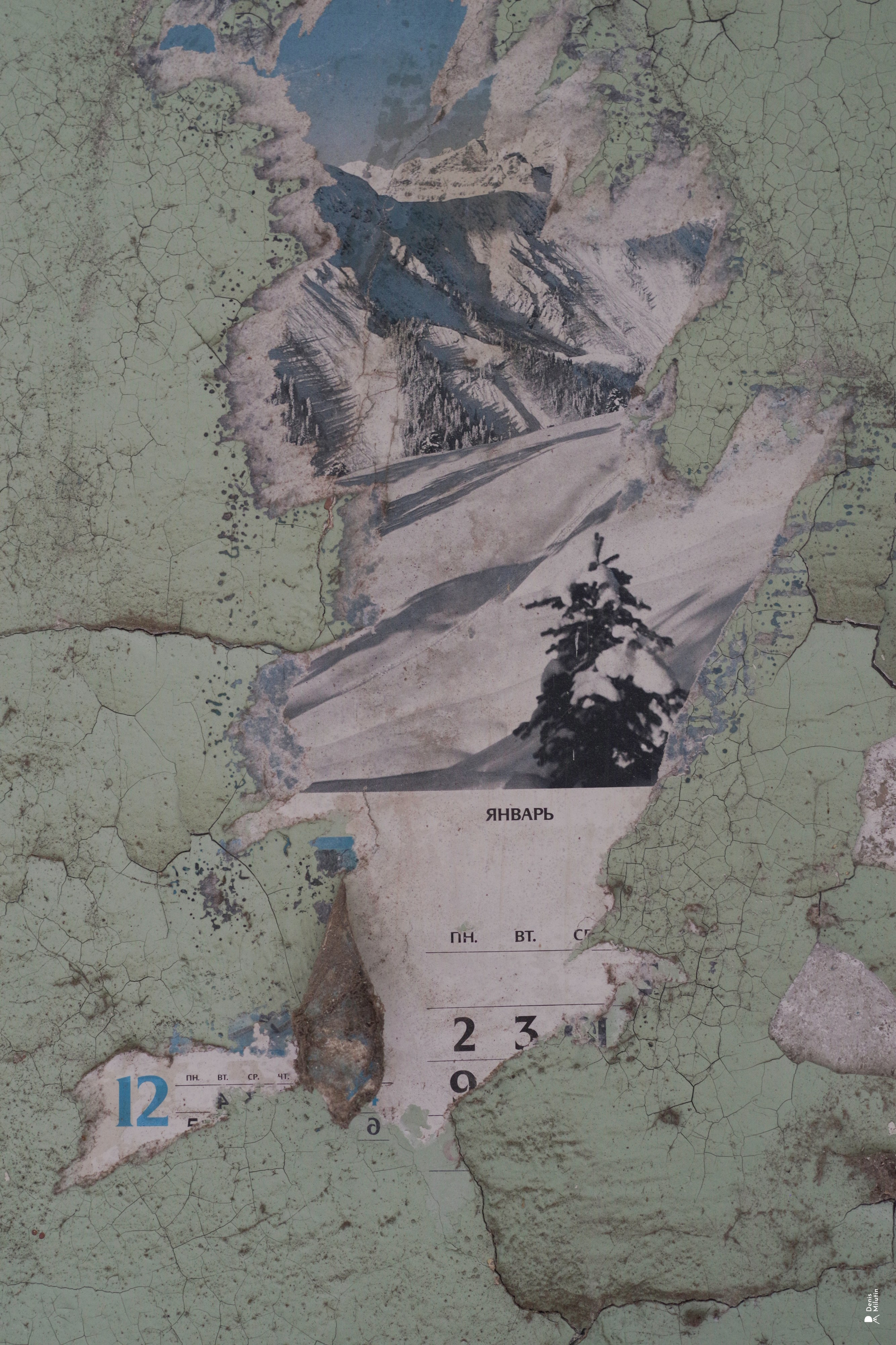 В отпуске с Артёмом. Портретный фотограф Денис Милютин