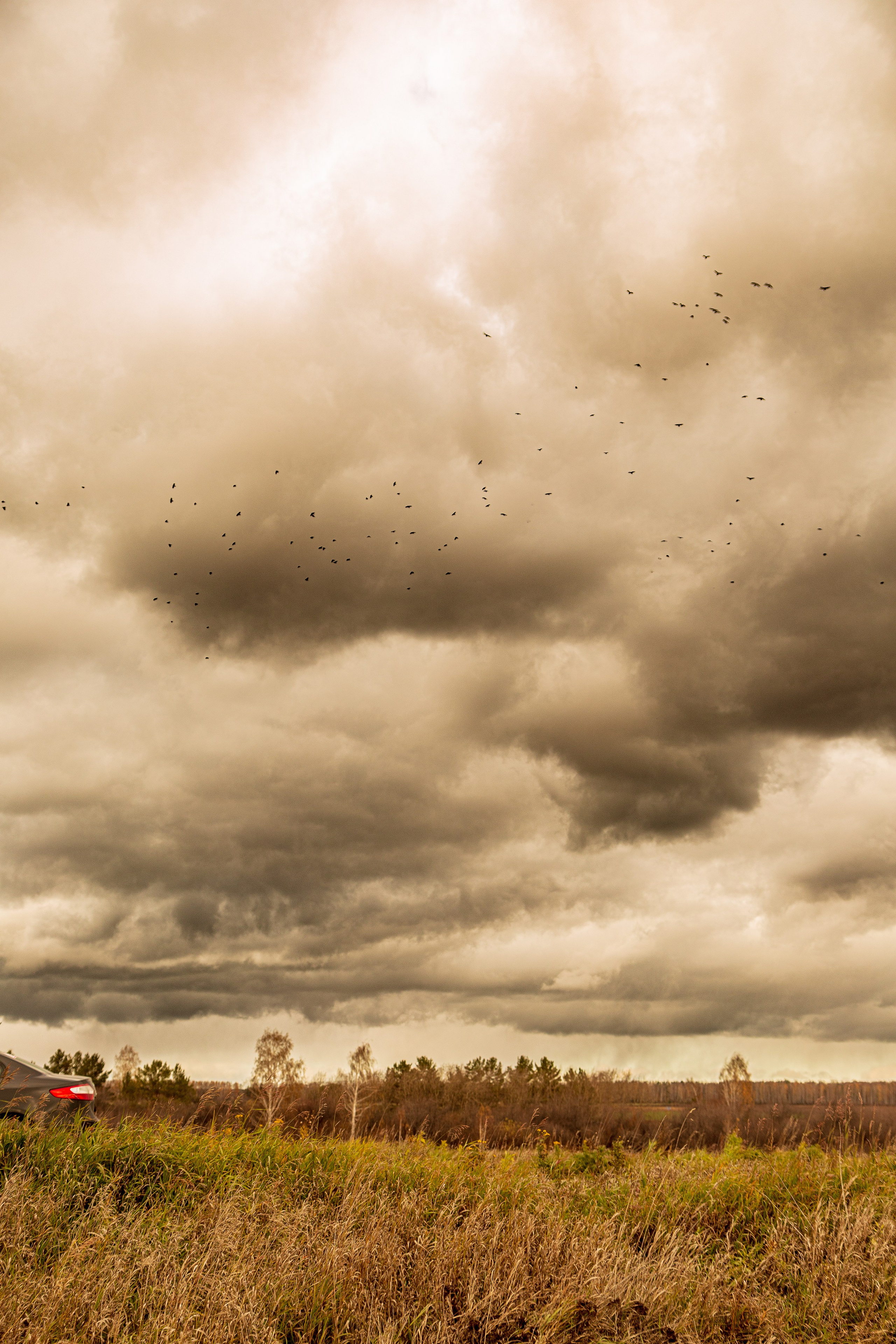 Сергей | Поле. Репортажный фотограф Екатеринбург | Яркий, качественный репортаж | Концерты, клубы, репортаж, праздники, корпоративы