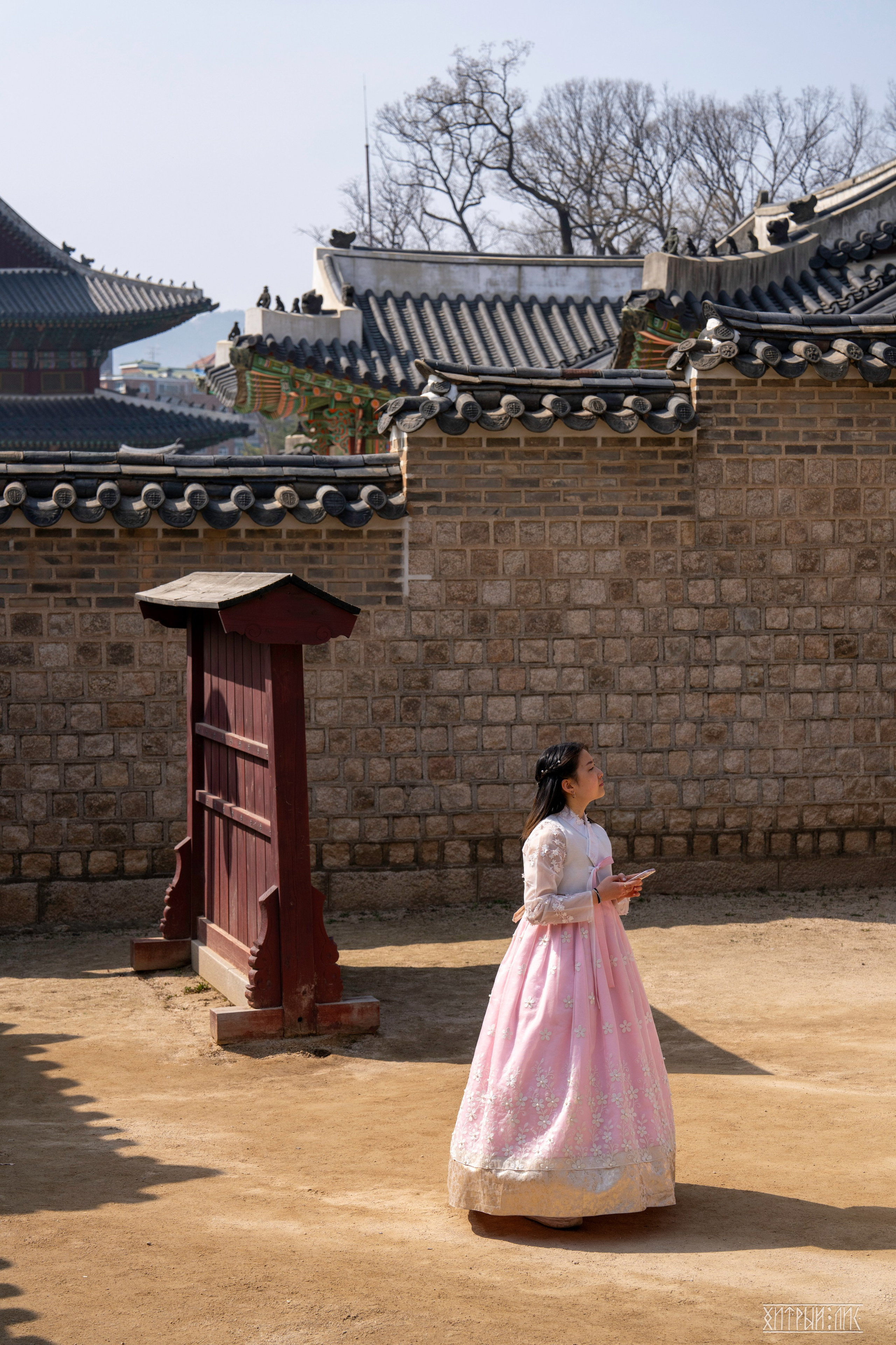 Южная Корея. Фотограф-путешественник Самойлов Максим «Sly Fox»