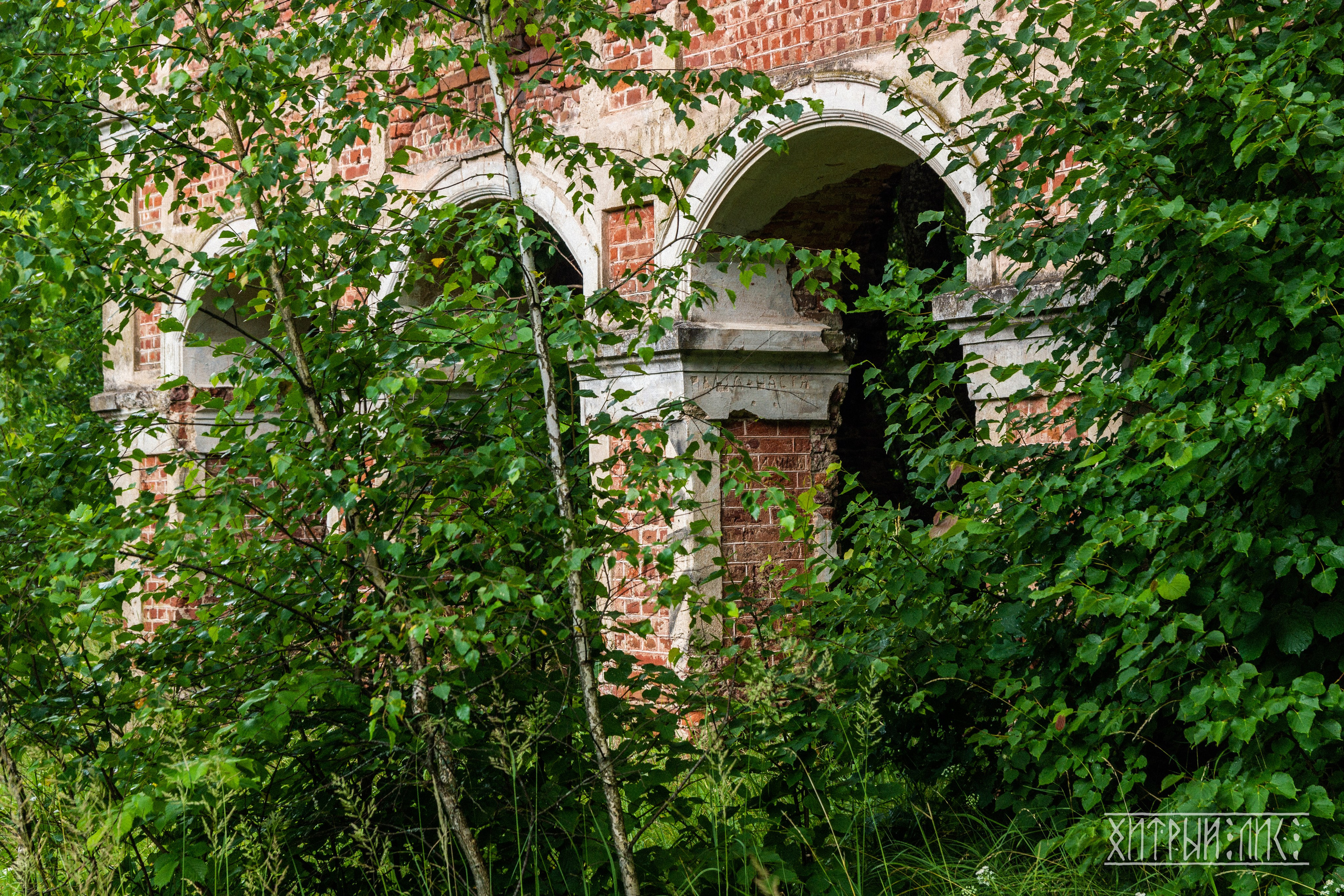 Беларусь. Фотограф-путешественник Самойлов Максим «Sly Fox»