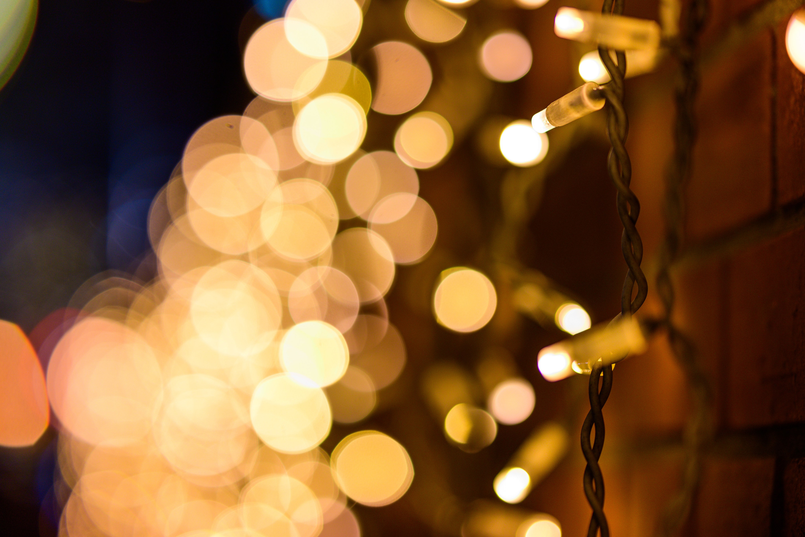 Зимняя Калининградская область. Фотосъемка и видеосъемка в Калининграде Liveemotion.pro