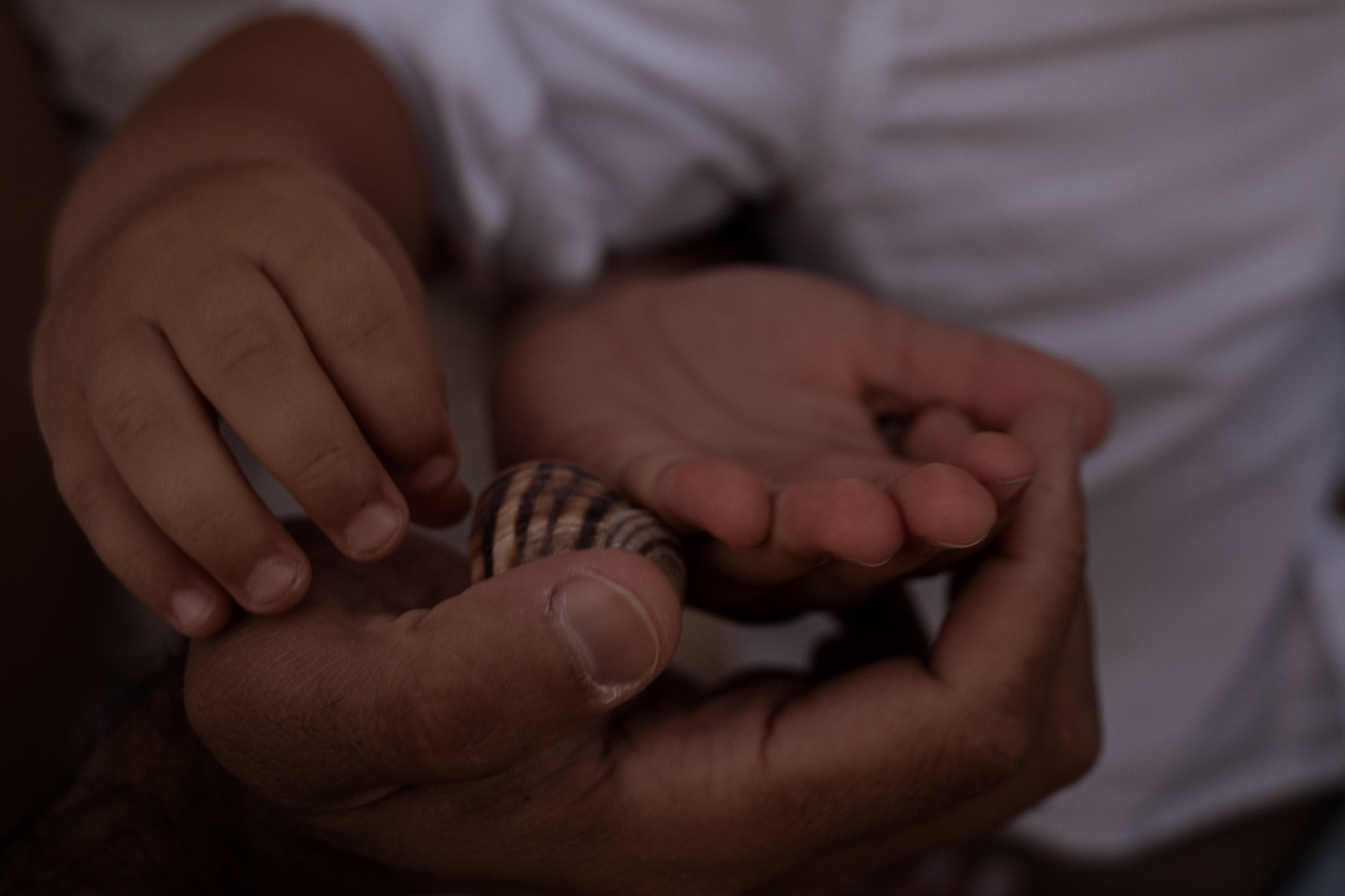 Ксения, Алексей, Катя и Ваня. Семейный и свадебный фотограф в Крыму и в Севастополе Сазонова Эля