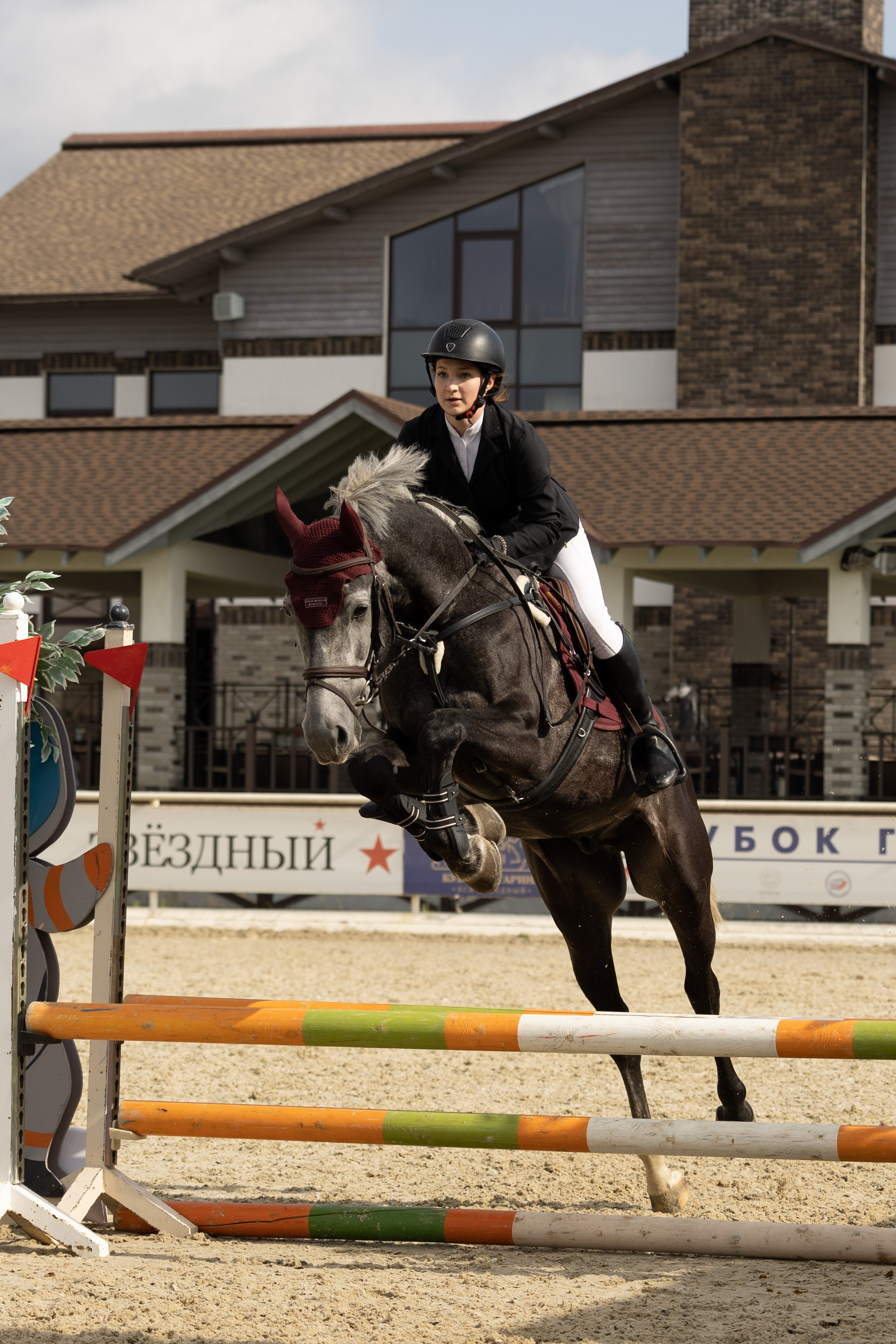 Соревнования по конкуру. Фотограф в Москве Светлана Богначева