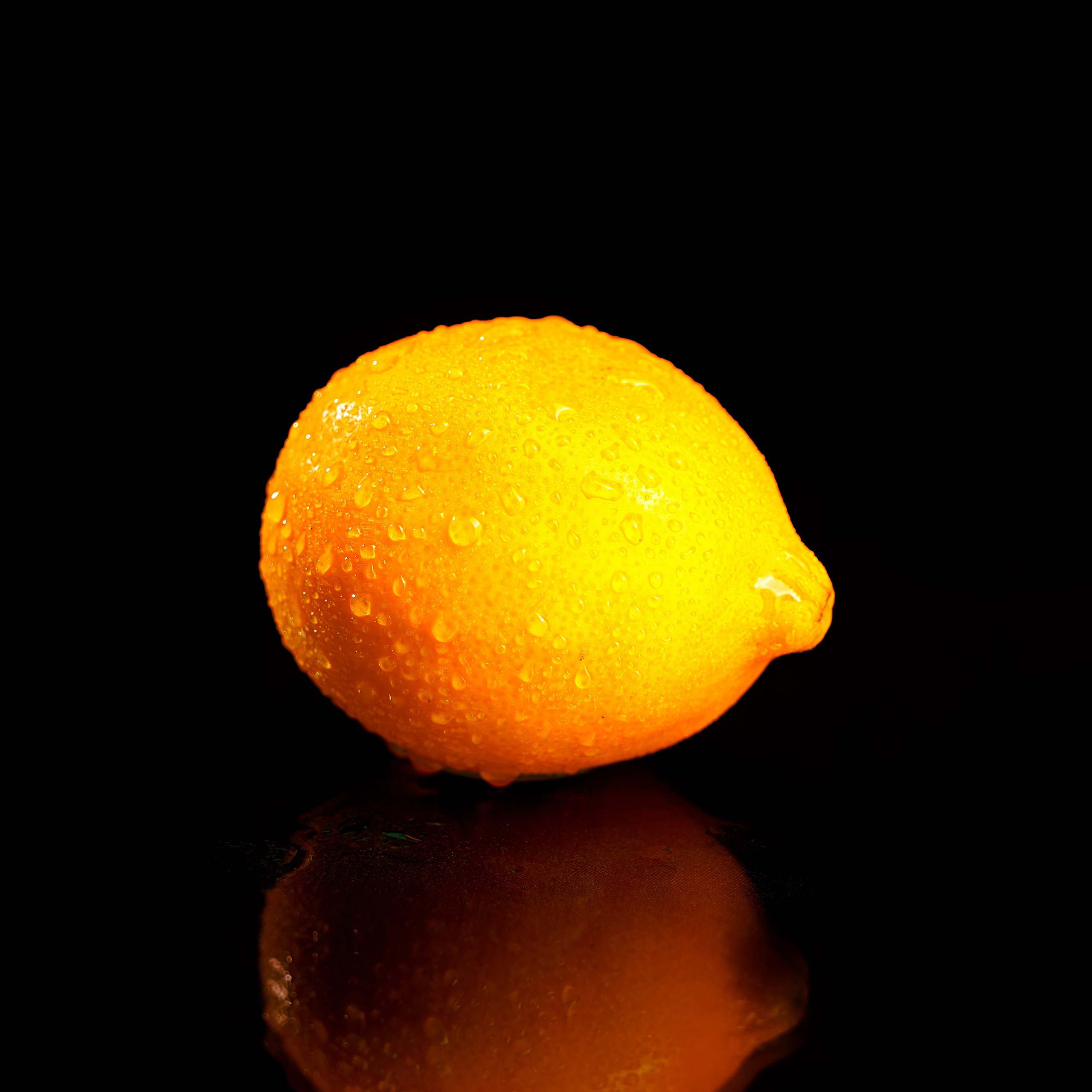 Предметная фотосъёмка. Фотограф, видеооператор Нина Коршунова