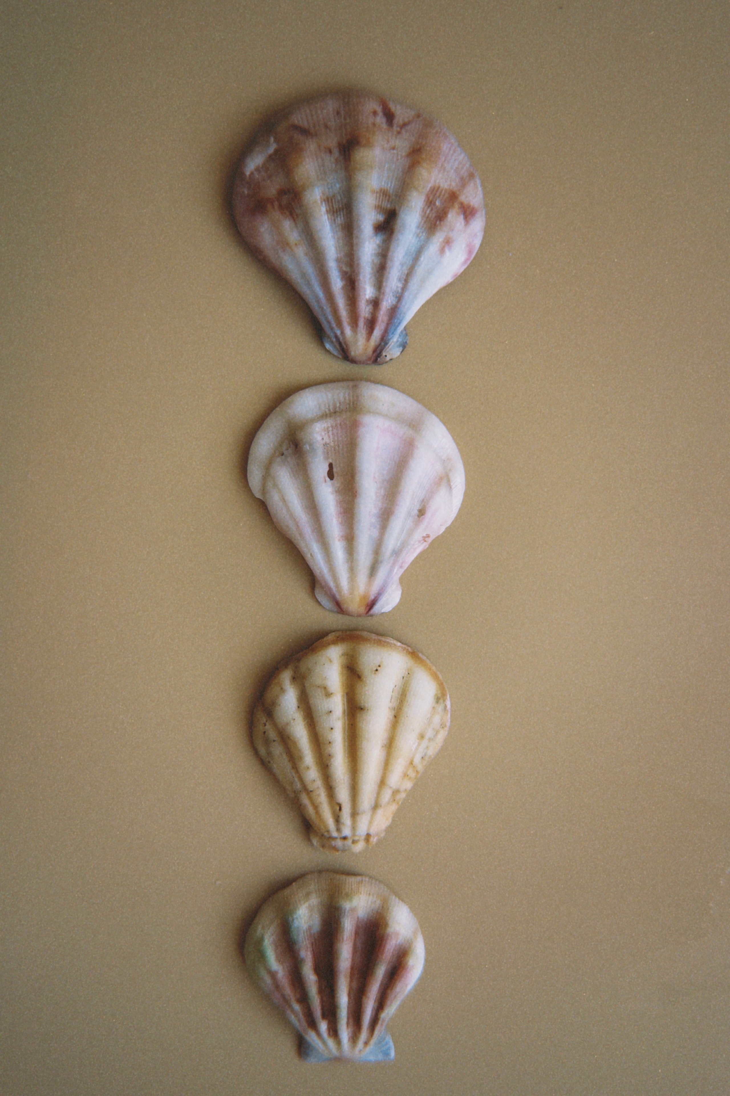 Предметная съёмка. Чувственный мобильный фотограф в Казани и Сочи Дьяченко Дарья