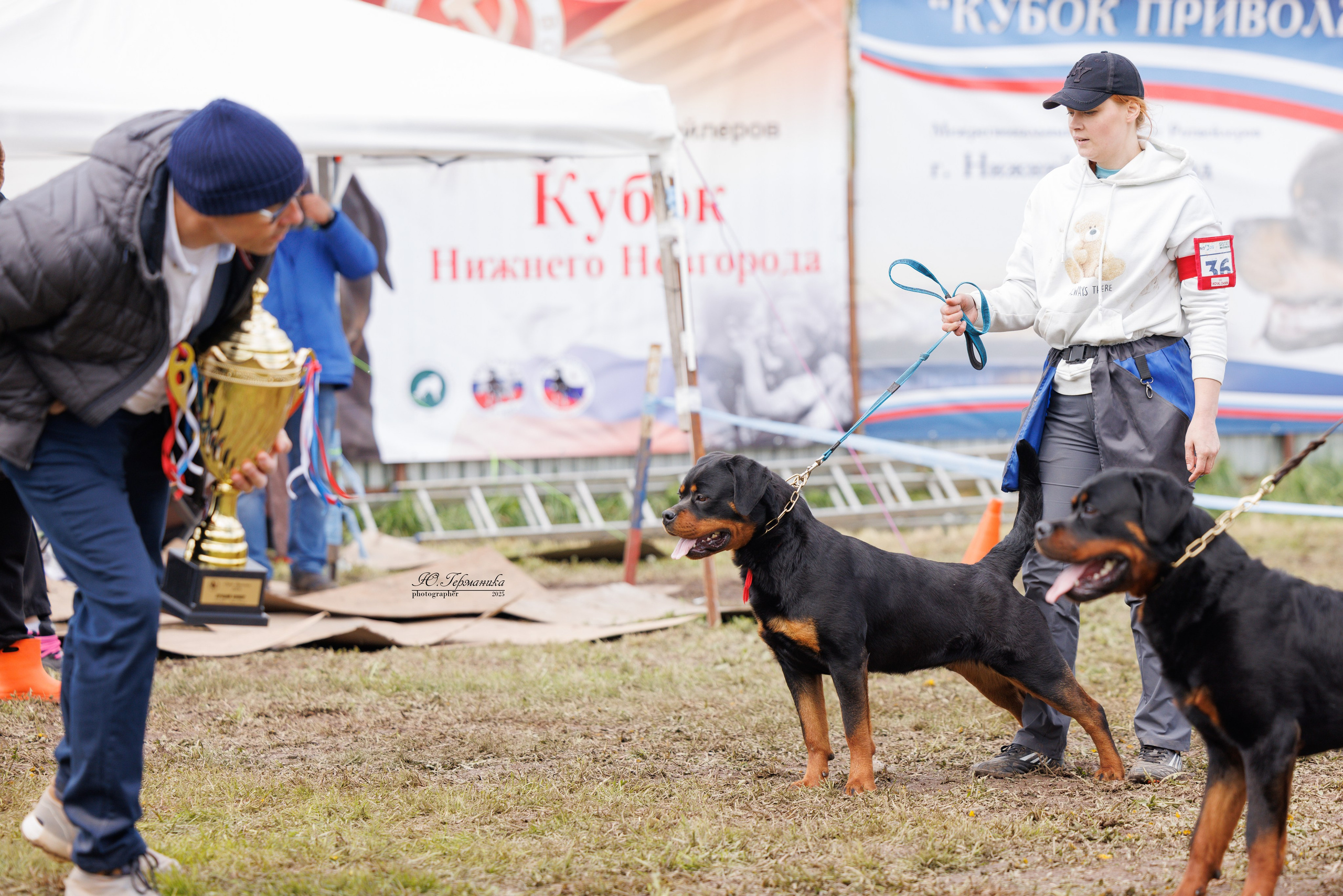 Нижний Новгород 2хмоно ротвейлеров 10-11.05.2025. Фотограф-анималист Юлия Германика