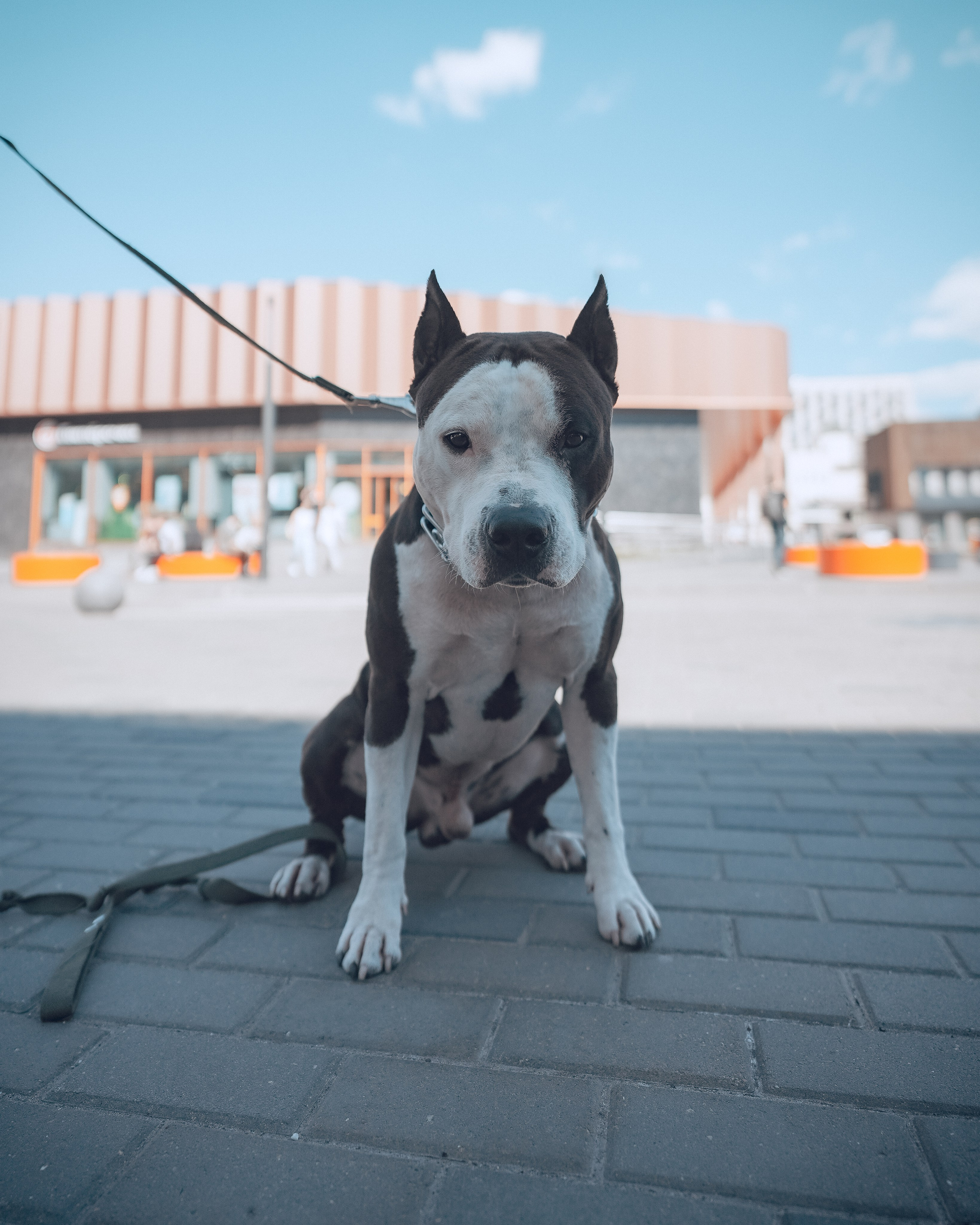 Фотофестиваль Wfolio. Портретный и семейный фотограф в Москве/Видное