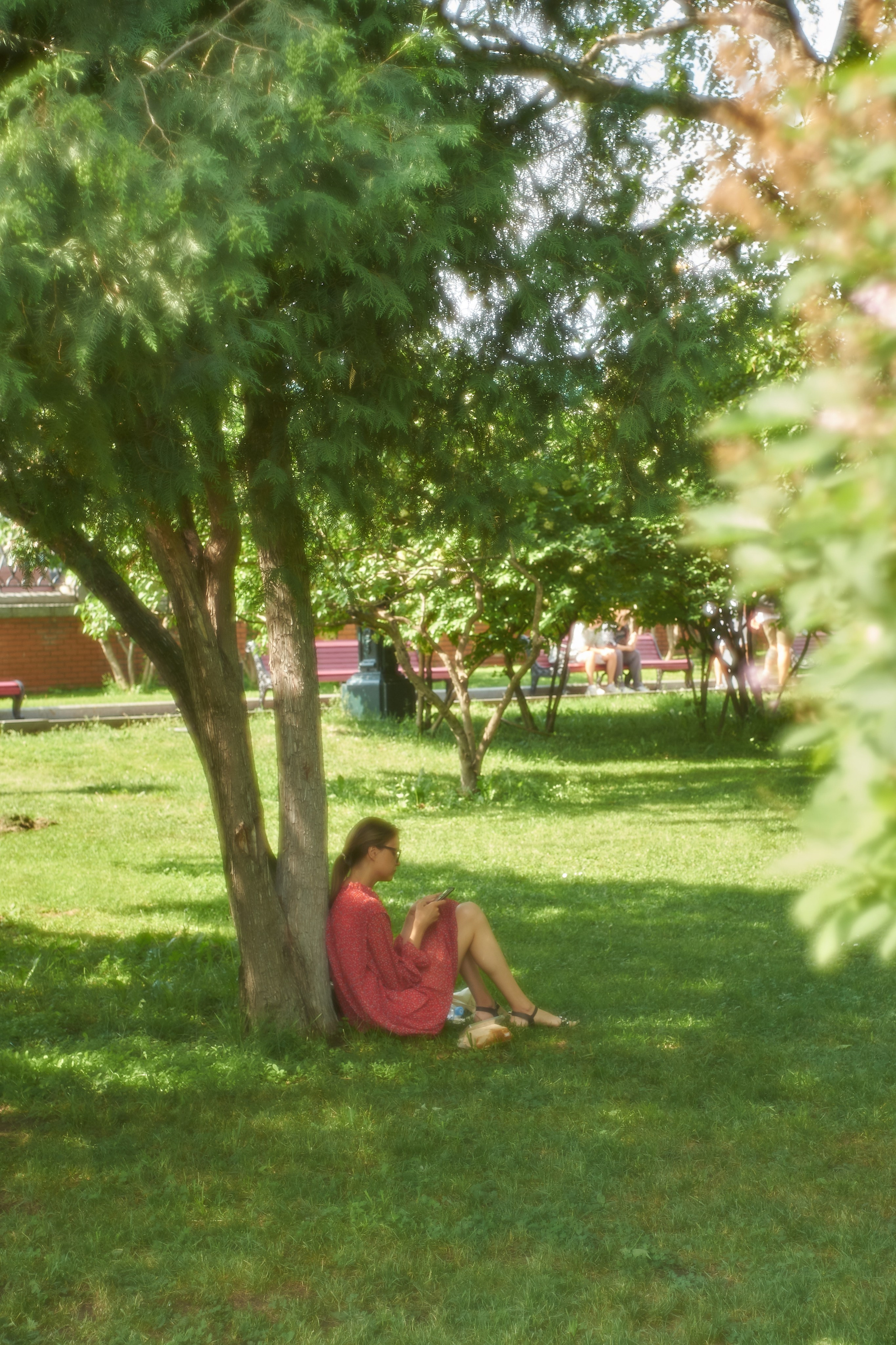 Пикториализм в природе. Сайт фотографа Виталия Дени
