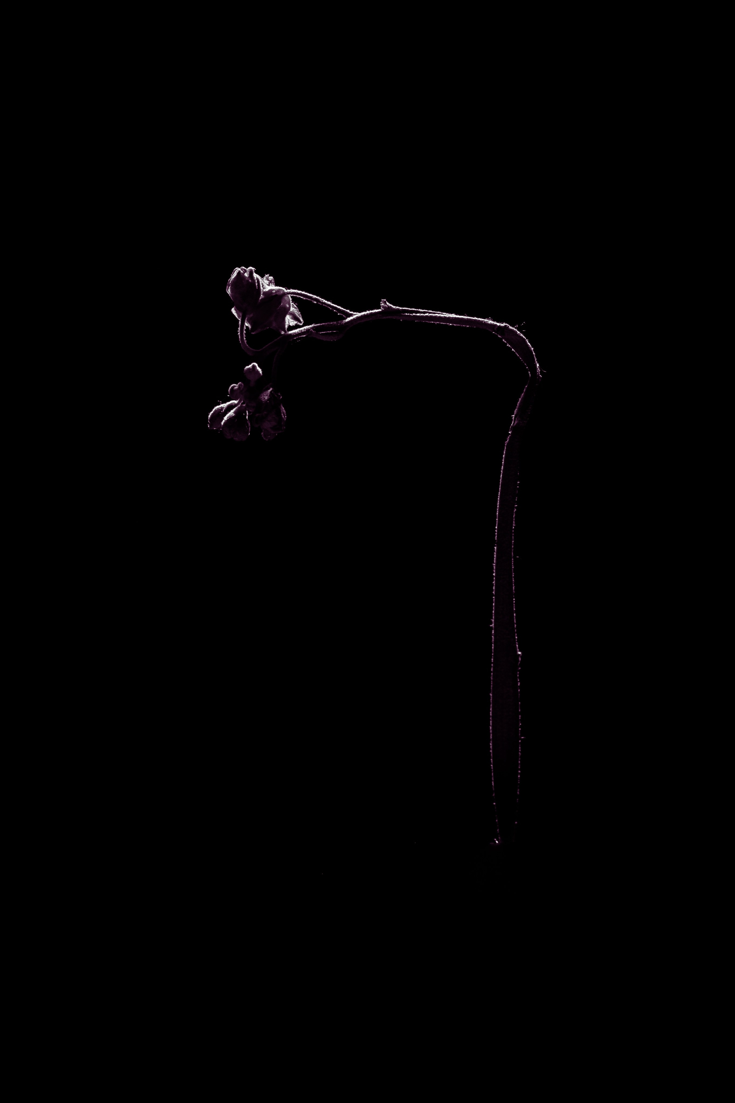 Гибель. Художественный фотограф в Калуге